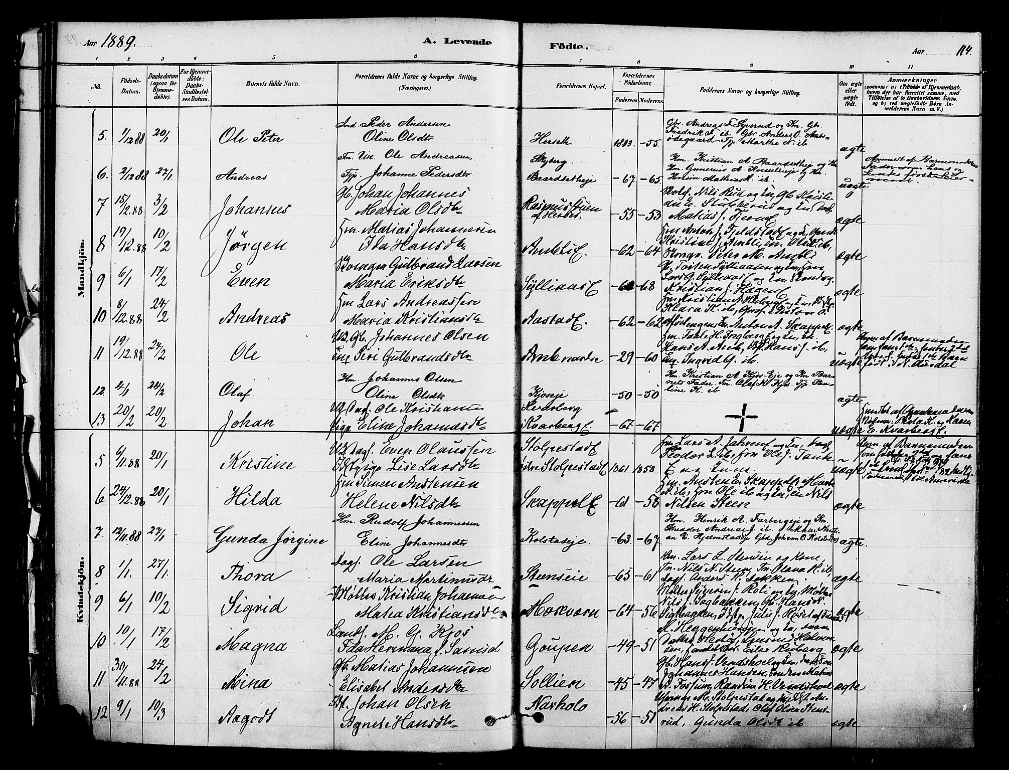 Ringsaker prestekontor, AV/SAH-PREST-014/K/Ka/L0012: Parish register (official) no. 12, 1879-1890, p. 114