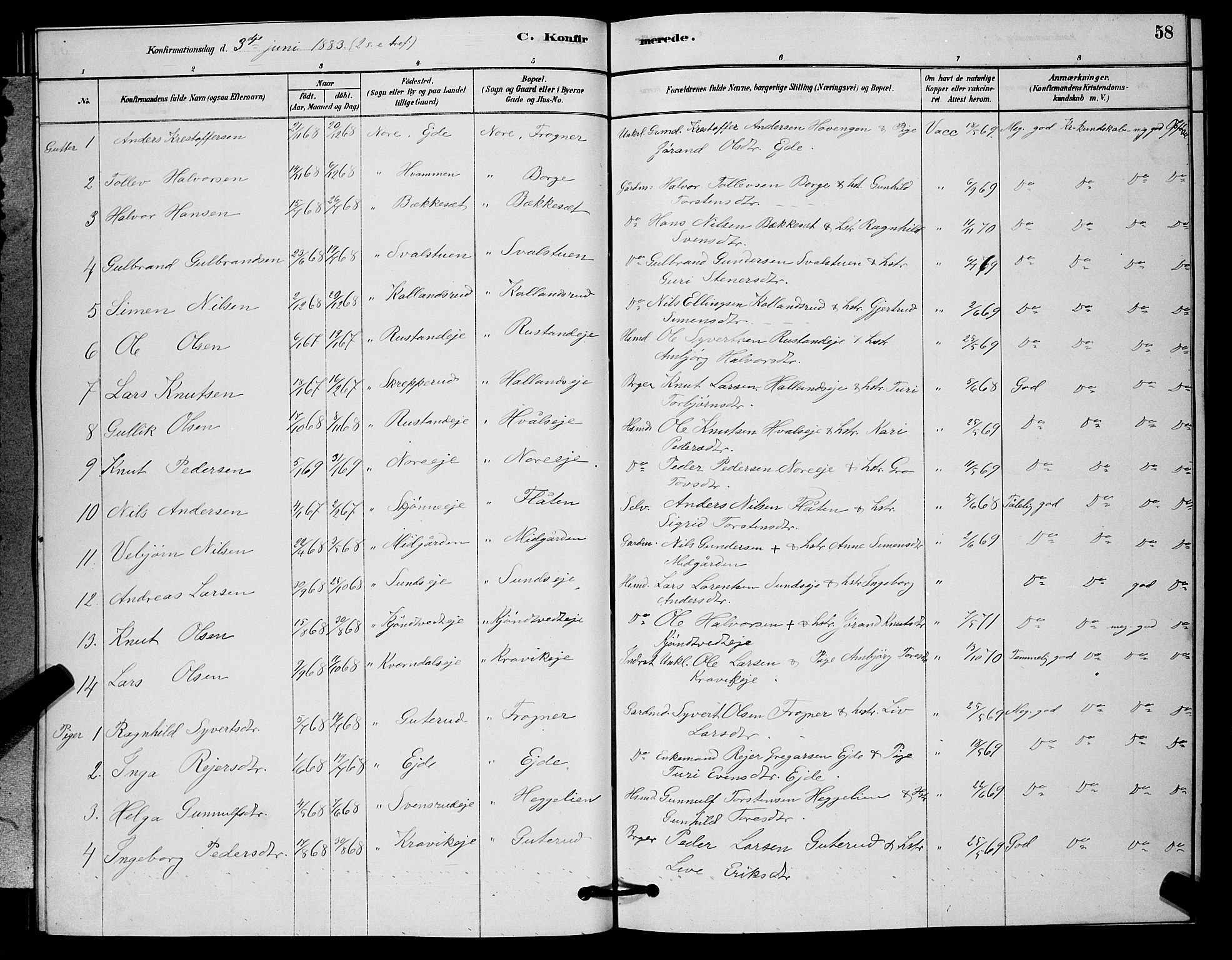 Nore kirkebøker, AV/SAKO-A-238/G/Ga/L0002: Parish register (copy) no. I 2, 1878-1885, p. 58