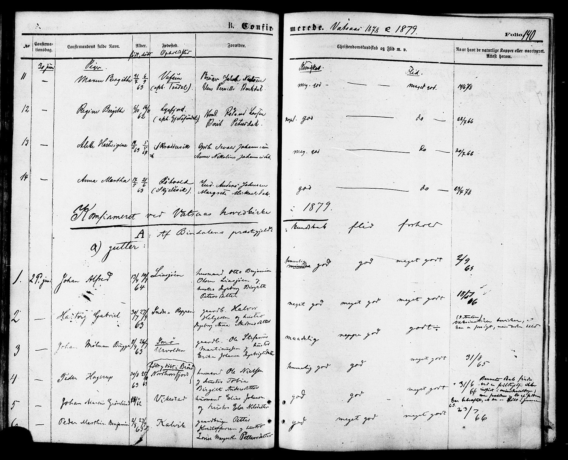 Ministerialprotokoller, klokkerbøker og fødselsregistre - Nordland, AV/SAT-A-1459/810/L0148: Parish register (official) no. 810A09 /1, 1874-1884, p. 140