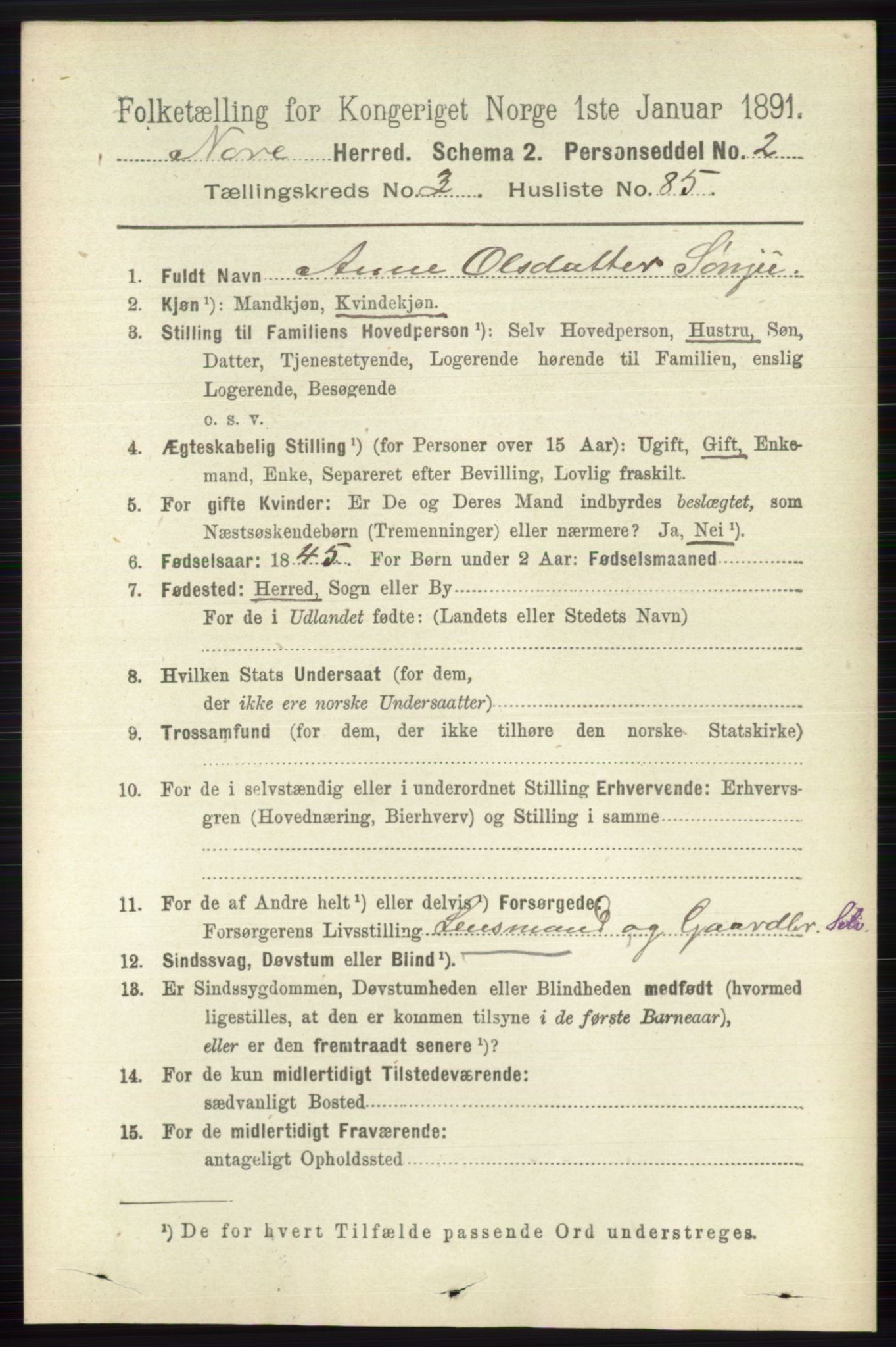 RA, 1891 census for 0633 Nore, 1891, p. 1209