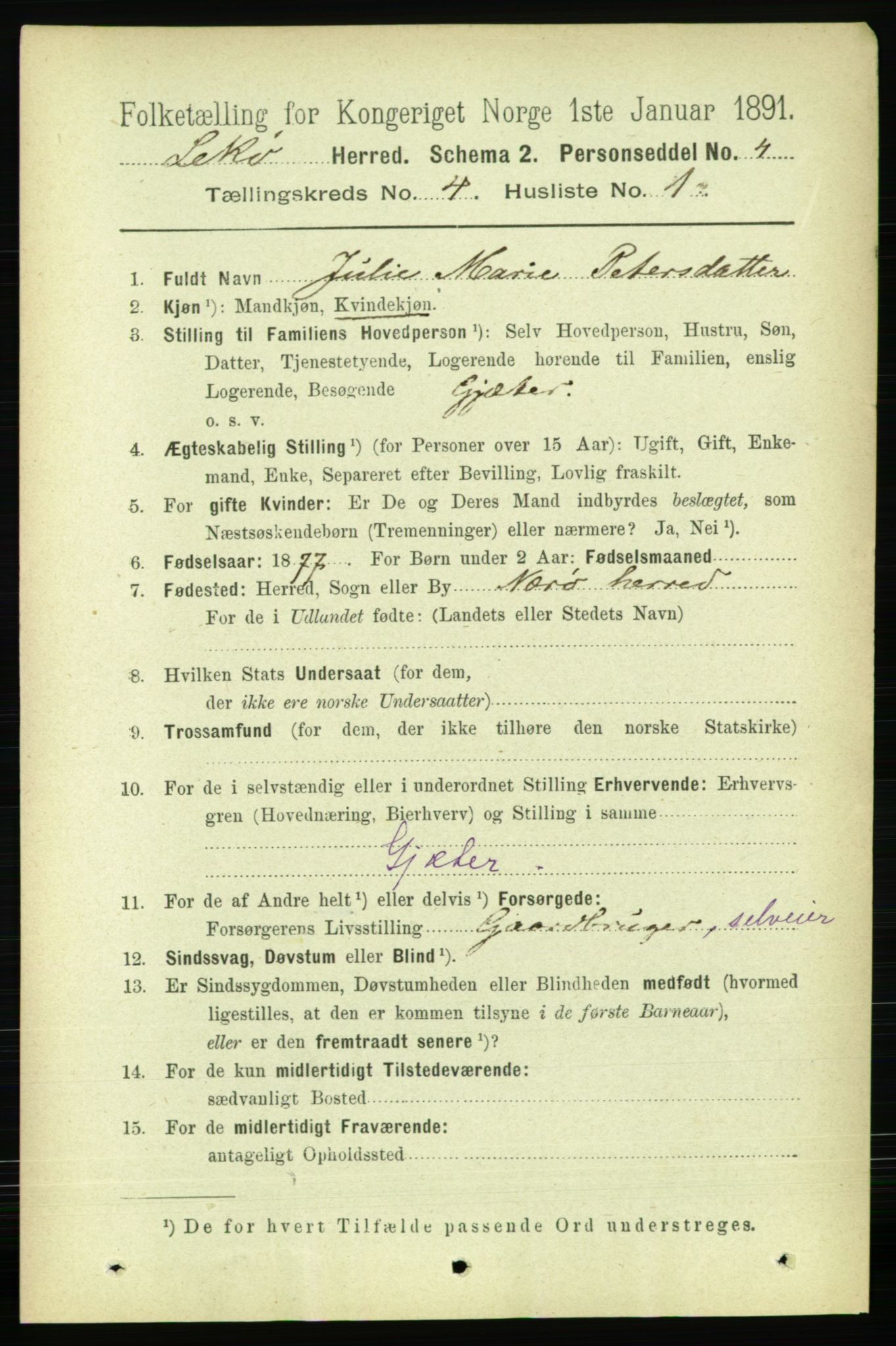 RA, 1891 census for 1755 Leka, 1891, p. 1919