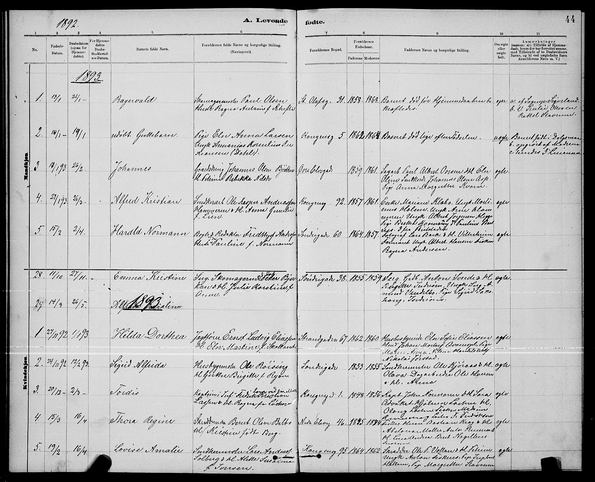 Ministerialprotokoller, klokkerbøker og fødselsregistre - Nord-Trøndelag, SAT/A-1458/739/L0374: Parish register (copy) no. 739C02, 1883-1898, p. 44
