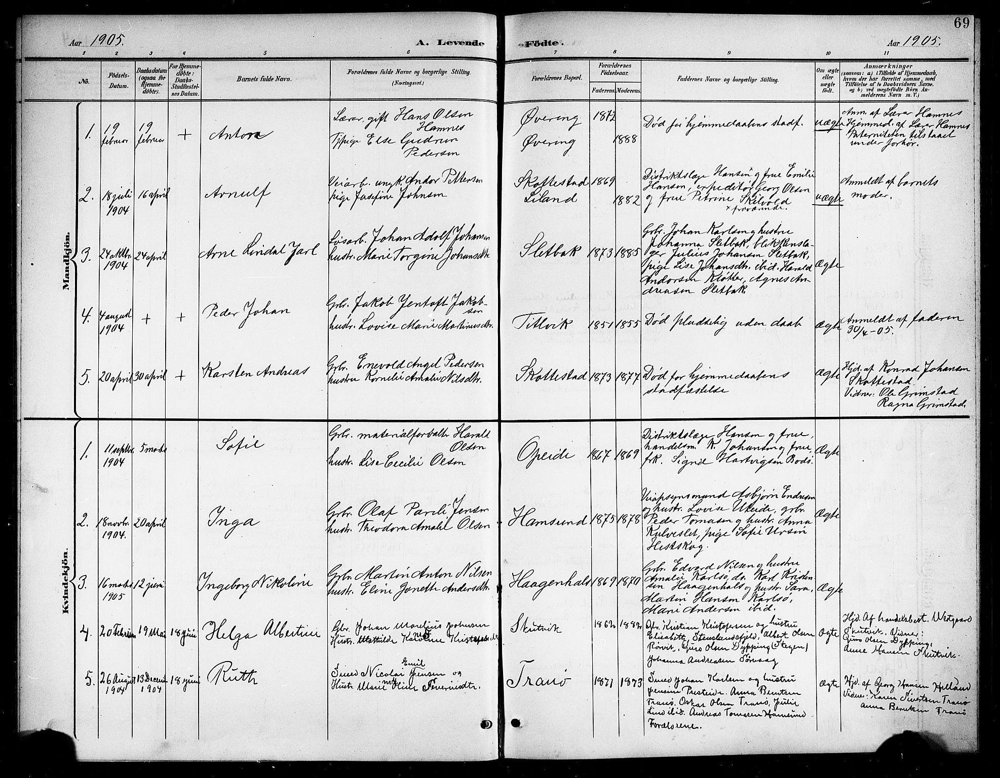 Ministerialprotokoller, klokkerbøker og fødselsregistre - Nordland, SAT/A-1459/859/L0860: Parish register (copy) no. 859C06, 1899-1909, p. 69