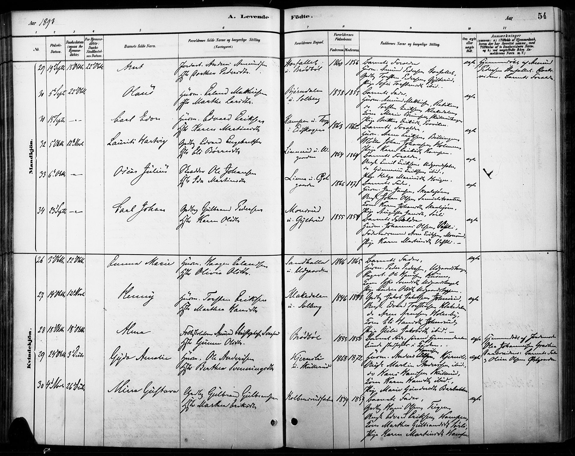 Vinger prestekontor, SAH/PREST-024/H/Ha/Haa/L0015: Parish register (official) no. 15, 1881-1900, p. 54