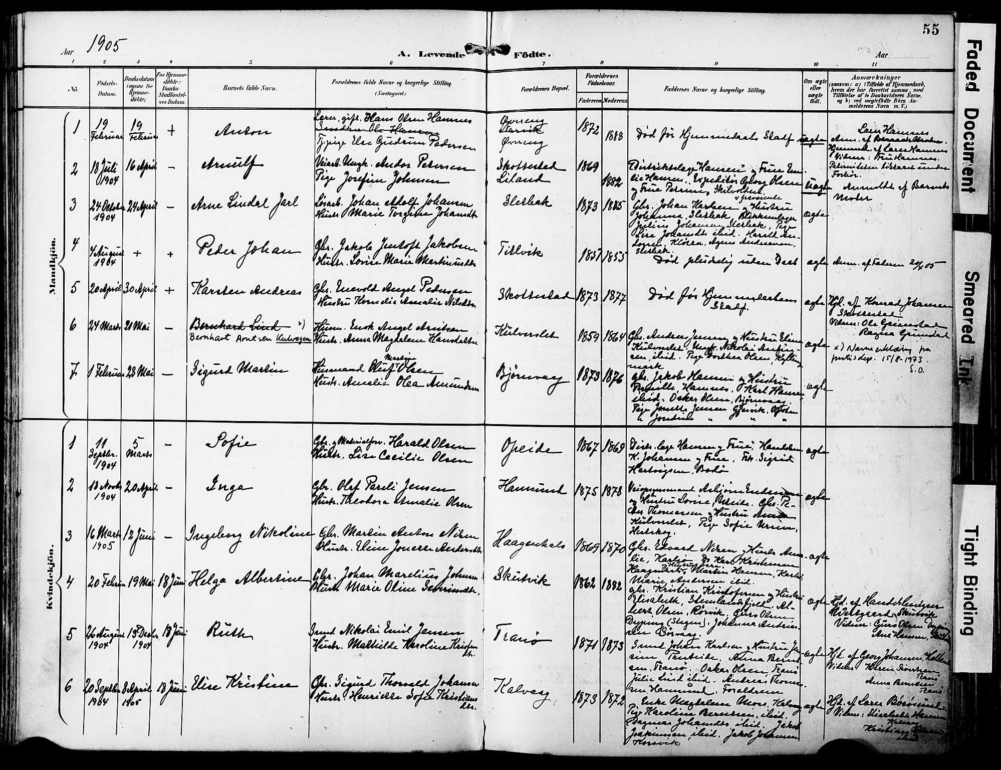 Ministerialprotokoller, klokkerbøker og fødselsregistre - Nordland, AV/SAT-A-1459/859/L0848: Parish register (official) no. 859A08, 1900-1912, p. 55