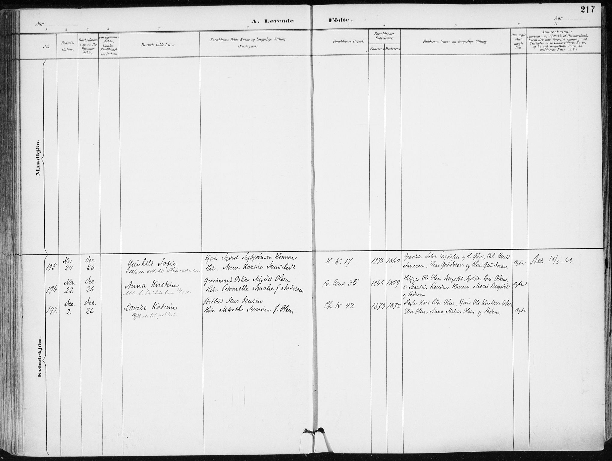 Kristiansand domprosti, SAK/1112-0006/F/Fa/L0019: Parish register (official) no. A 18, 1890-1897, p. 217