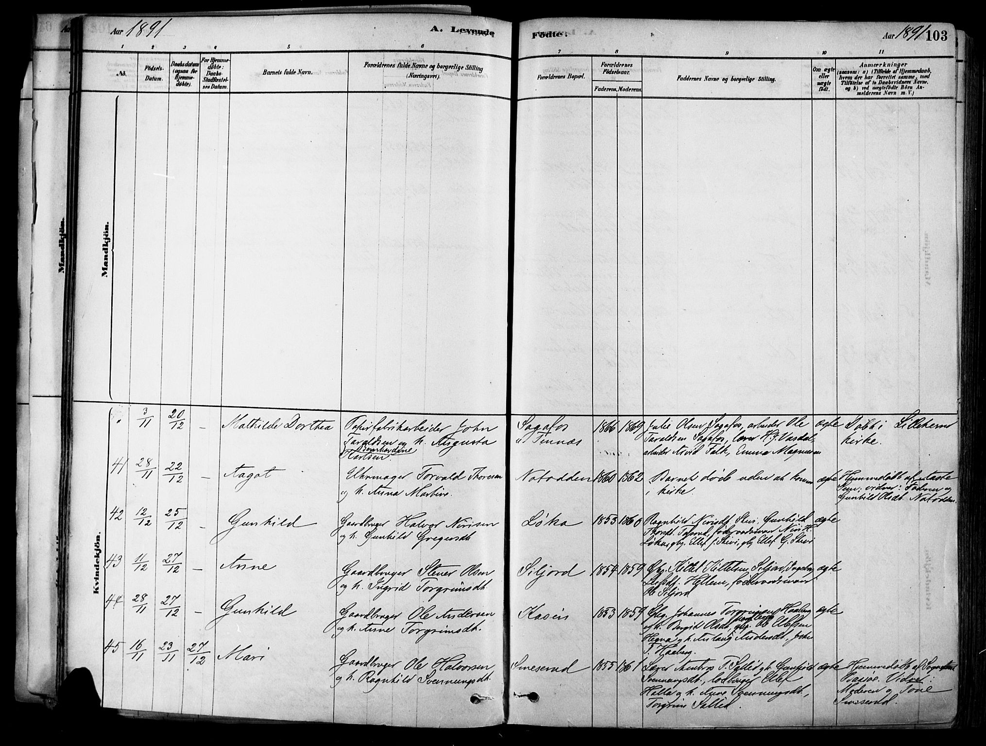 Heddal kirkebøker, SAKO/A-268/F/Fa/L0008: Parish register (official) no. I 8, 1878-1903, p. 103