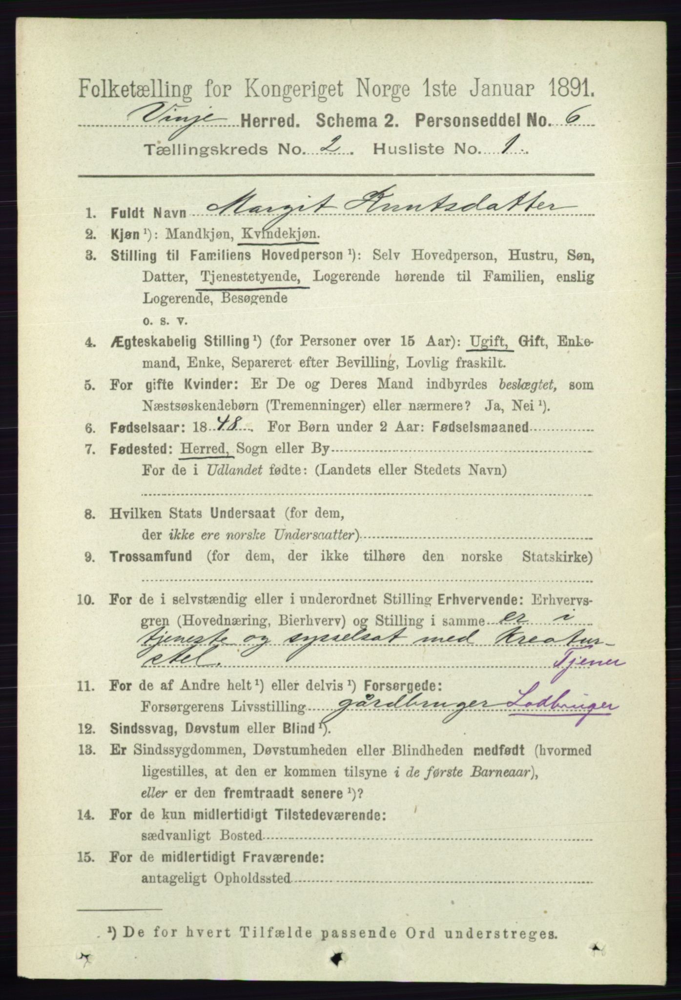 RA, 1891 census for 0834 Vinje, 1891, p. 361