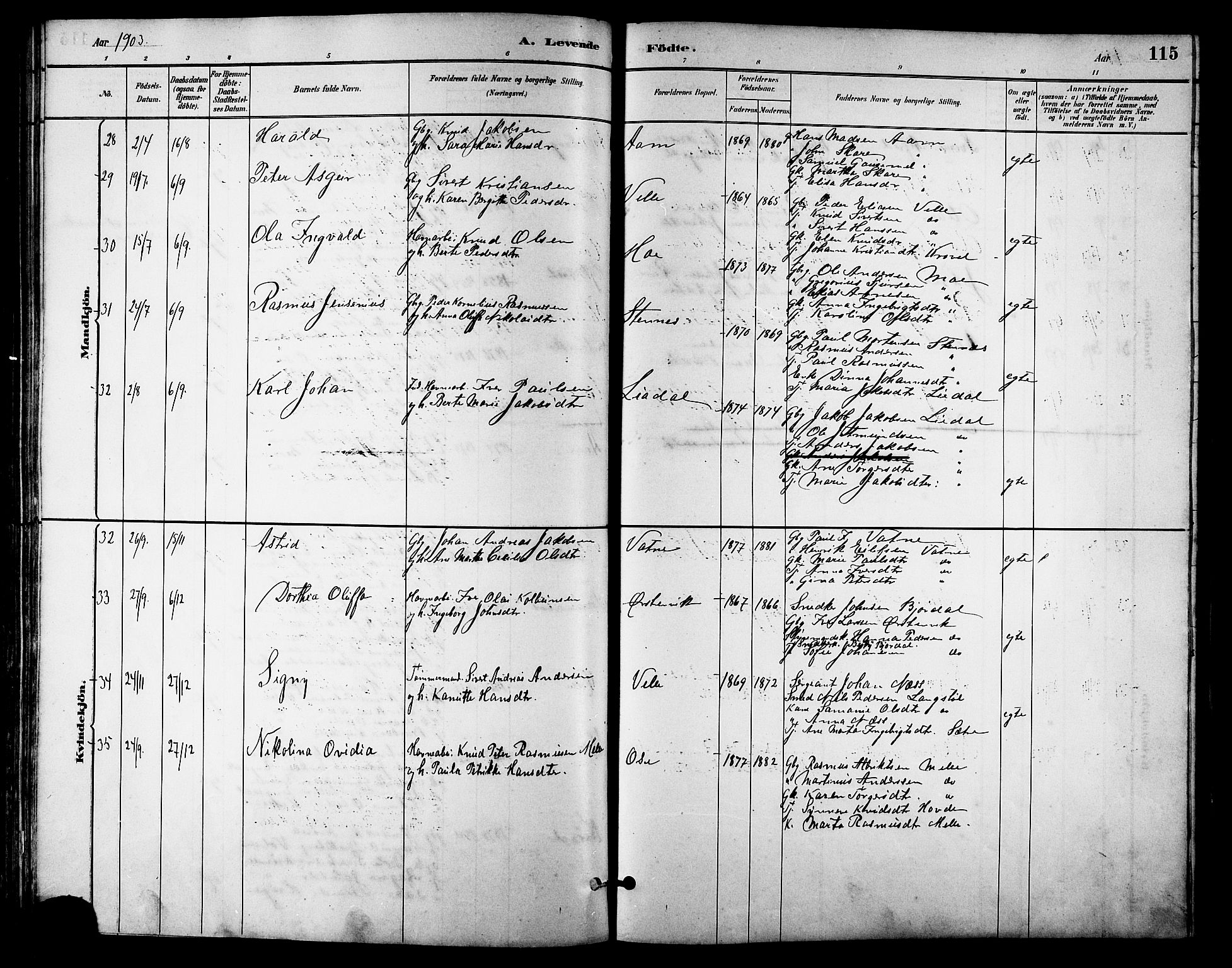 Ministerialprotokoller, klokkerbøker og fødselsregistre - Møre og Romsdal, AV/SAT-A-1454/513/L0189: Parish register (copy) no. 513C03, 1883-1904, p. 115