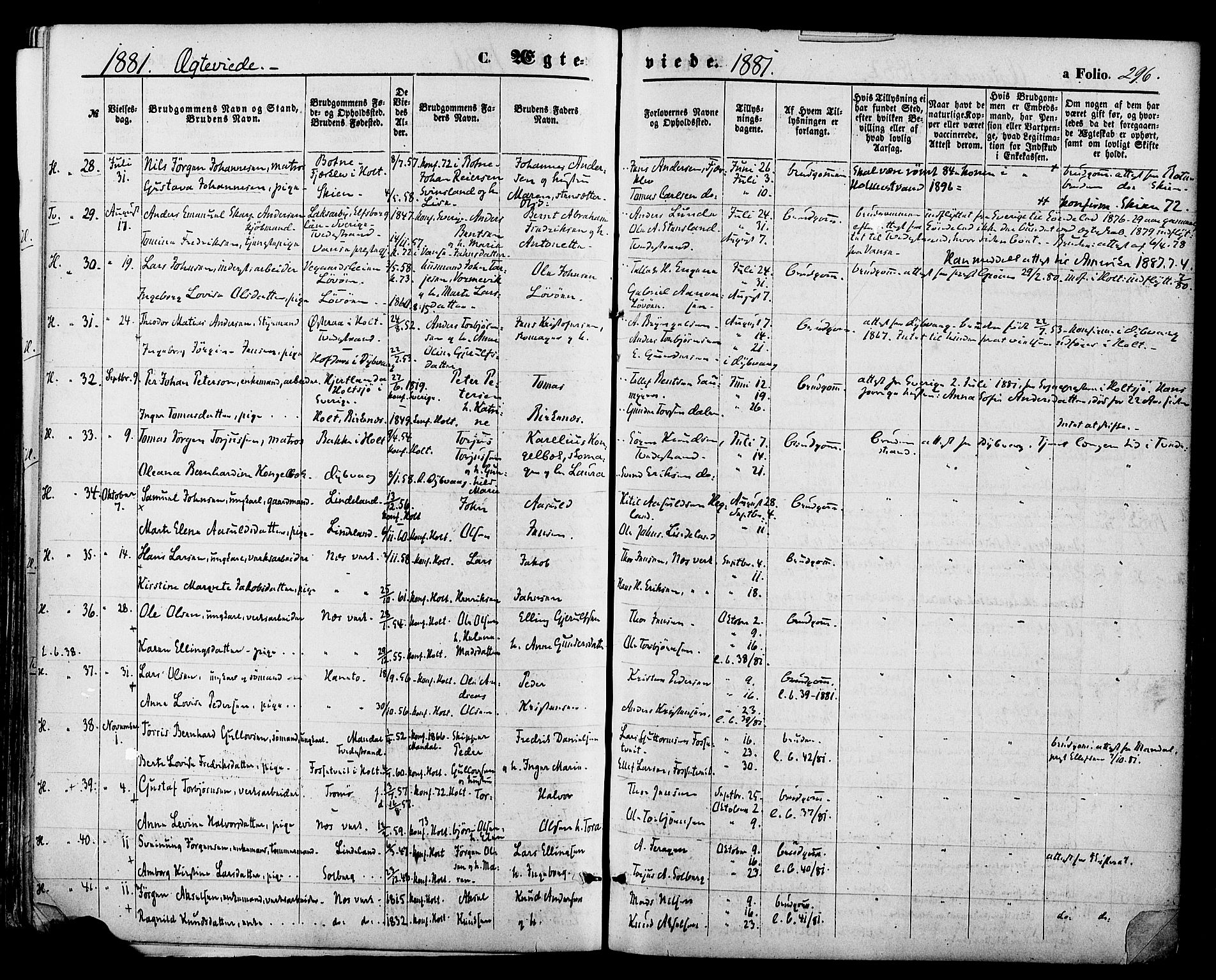 Holt sokneprestkontor, AV/SAK-1111-0021/F/Fa/L0010: Parish register (official) no. A 10, 1872-1885, p. 296