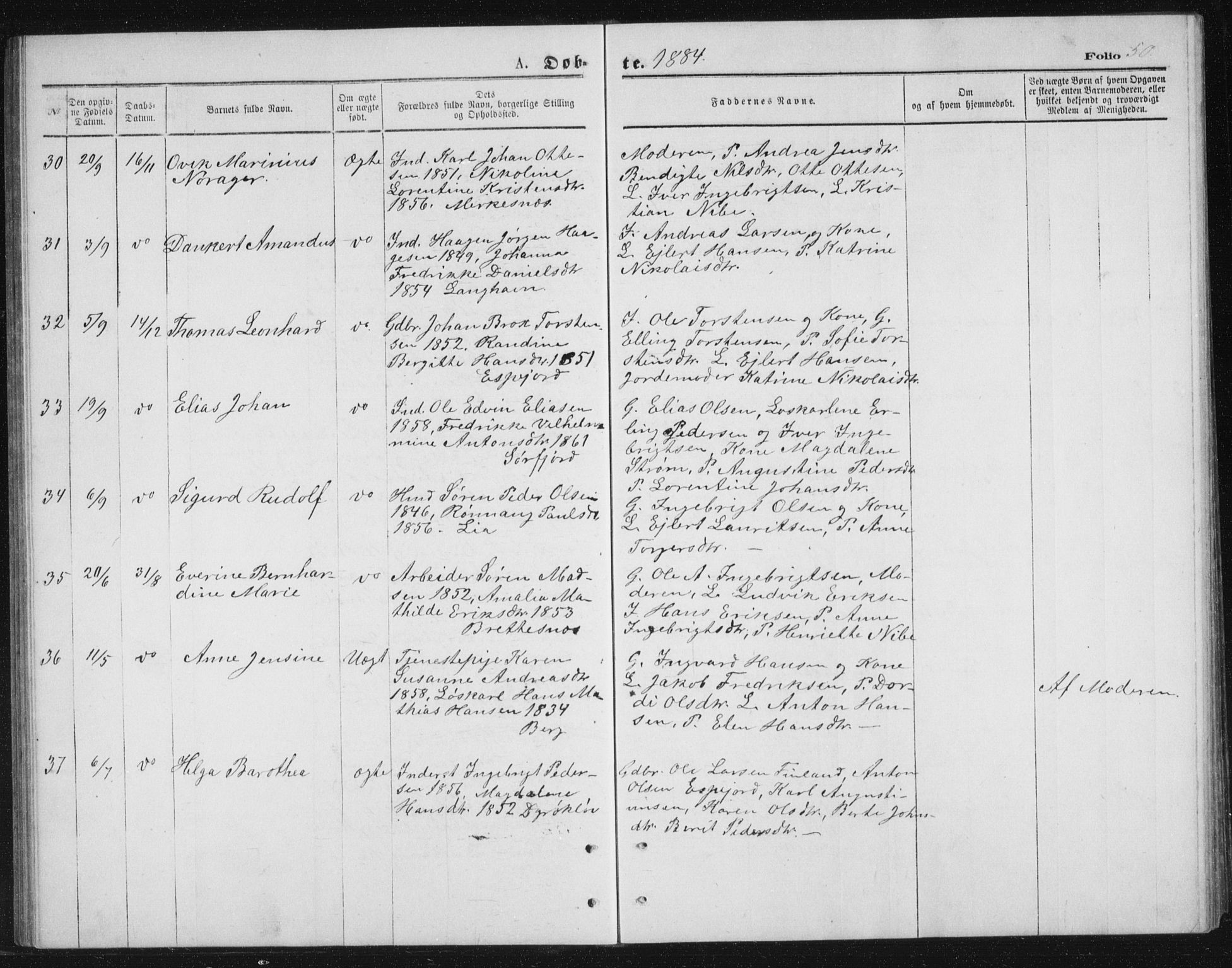 Tranøy sokneprestkontor, AV/SATØ-S-1313/I/Ia/Iab/L0013klokker: Parish register (copy) no. 13, 1874-1896, p. 50