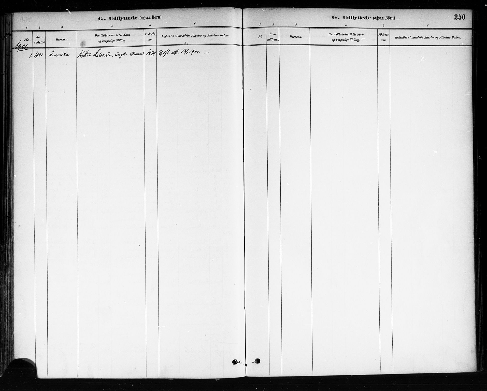 Brevik kirkebøker, AV/SAKO-A-255/F/Fa/L0007: Parish register (official) no. 7, 1882-1900, p. 250