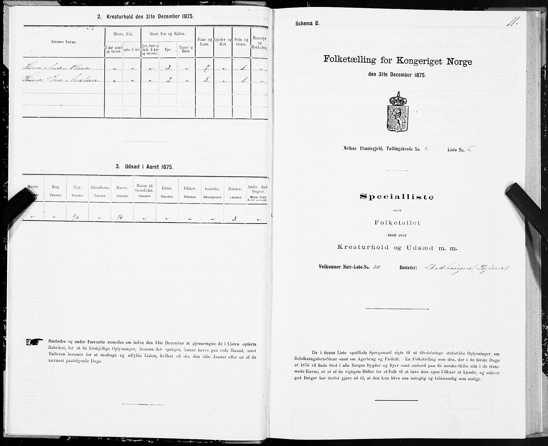 SAT, 1875 census for 1653P Melhus, 1875, p. 7011