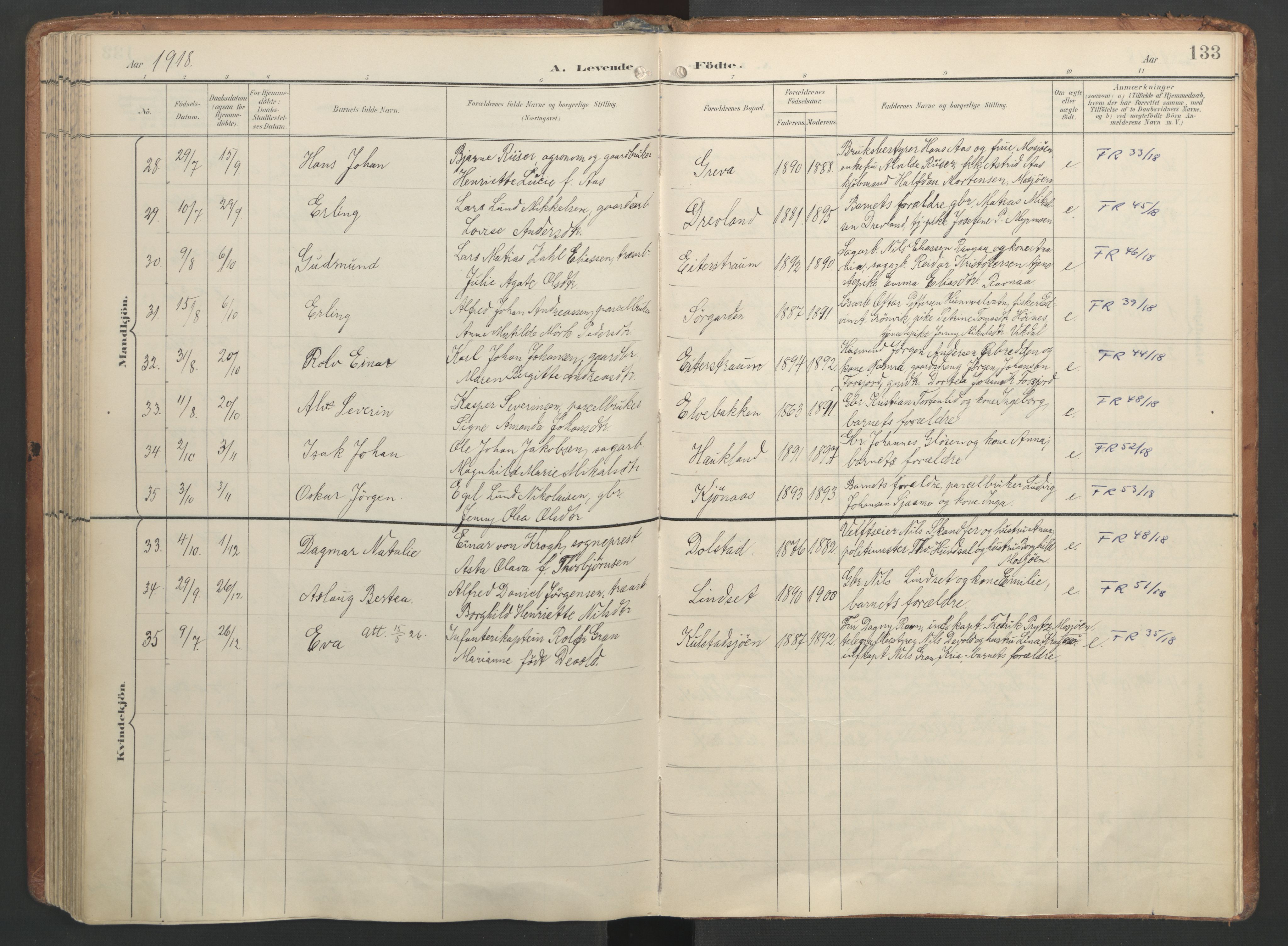 Ministerialprotokoller, klokkerbøker og fødselsregistre - Nordland, AV/SAT-A-1459/820/L0297: Parish register (official) no. 820A18, 1897-1917, p. 133