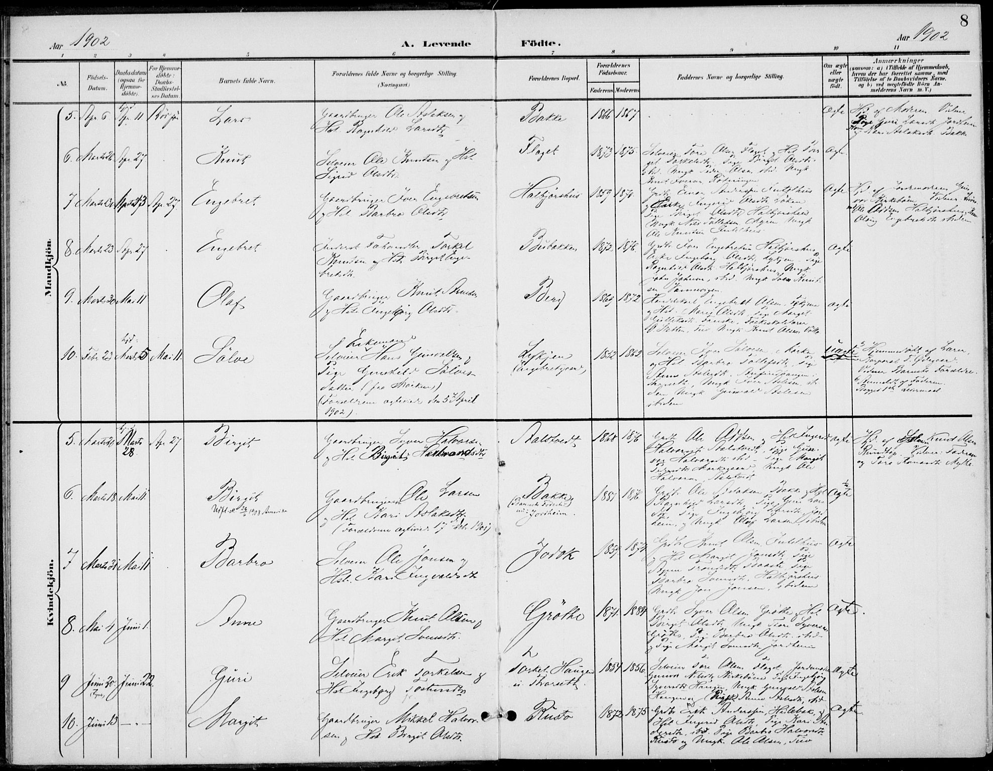 Gol kirkebøker, AV/SAKO-A-226/F/Fb/L0002: Parish register (official) no. II 2, 1900-1921, p. 8