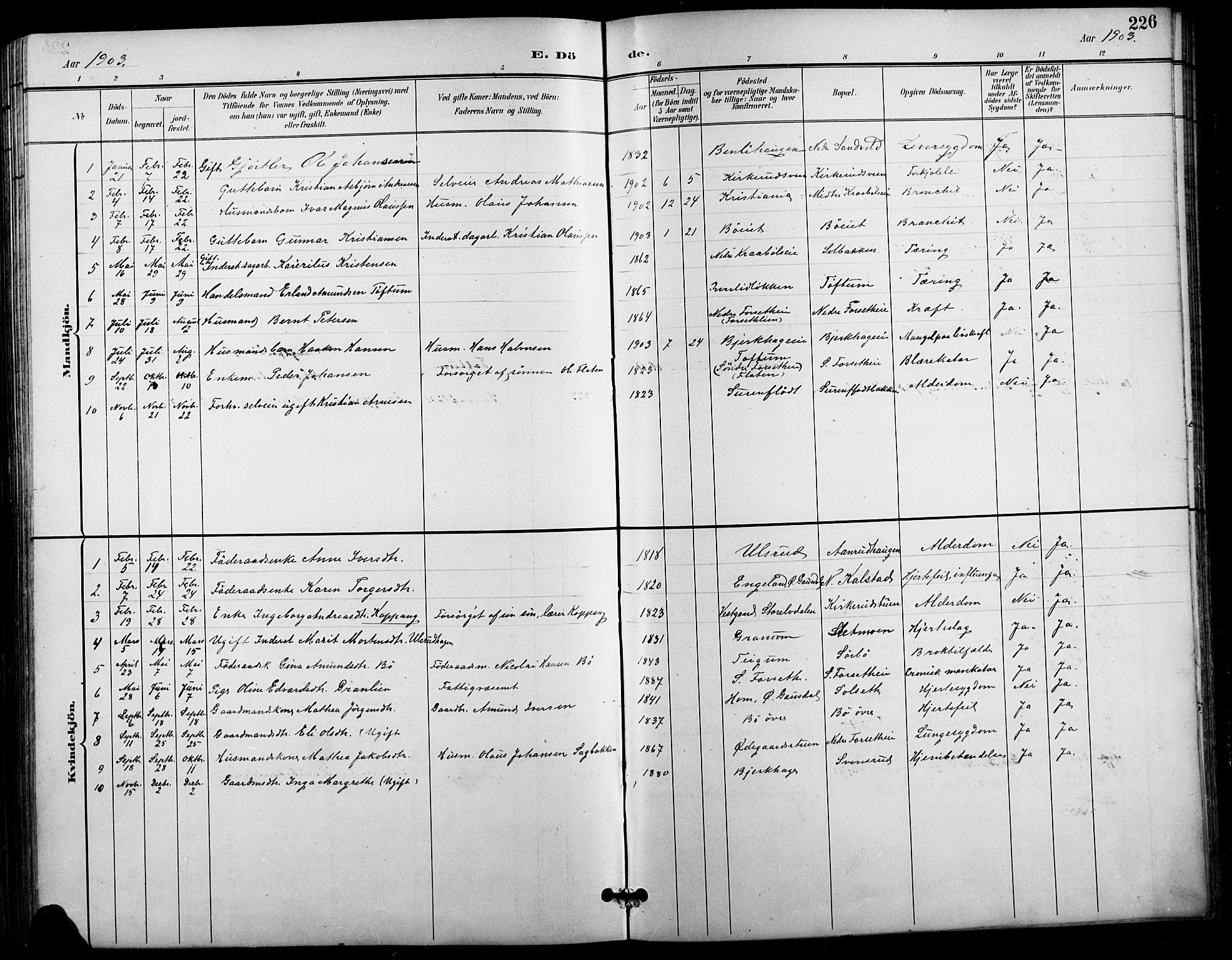 Vestre Gausdal prestekontor, SAH/PREST-094/H/Ha/Hab/L0003: Parish register (copy) no. 3, 1896-1925, p. 226