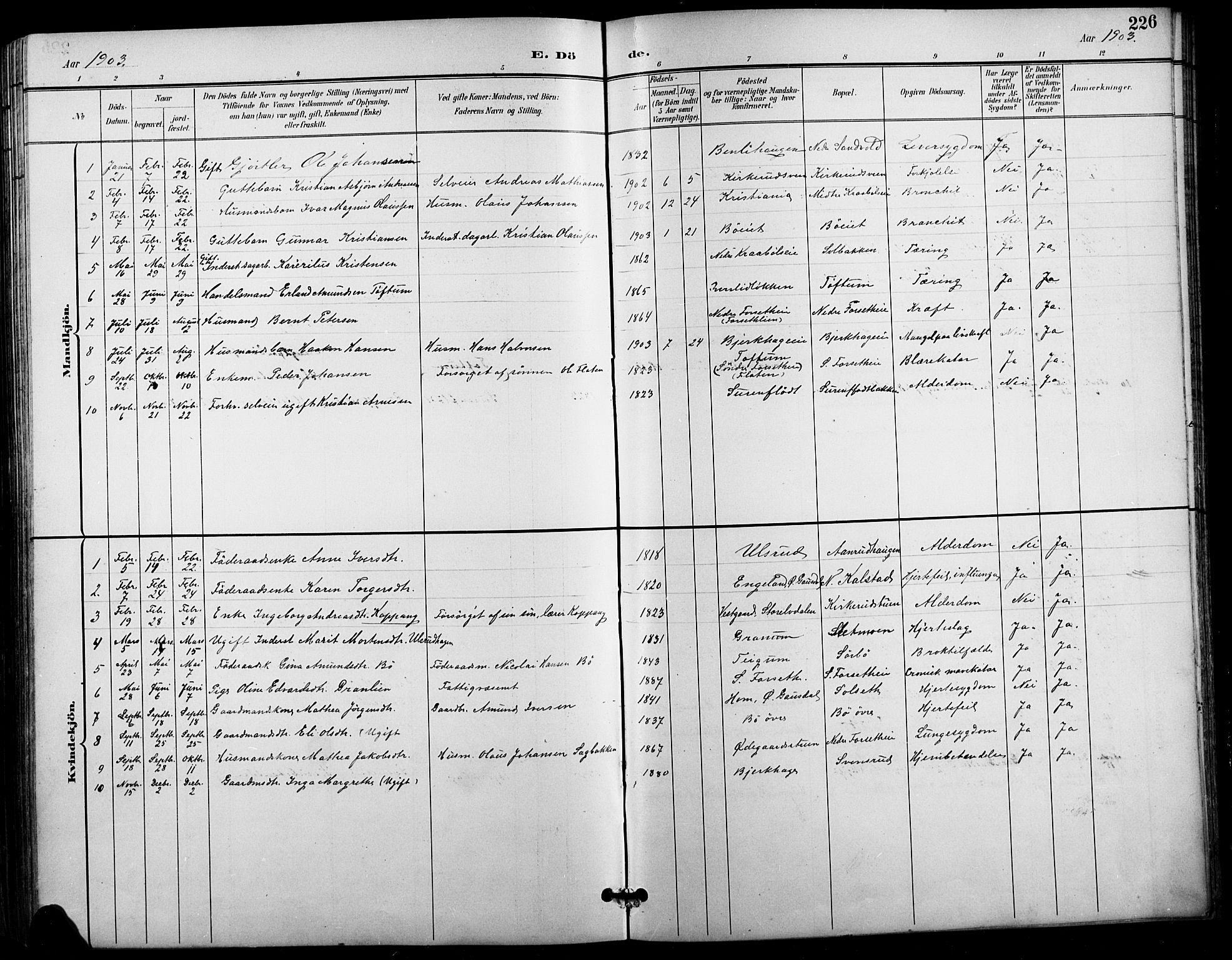 Vestre Gausdal prestekontor, AV/SAH-PREST-094/H/Ha/Hab/L0003: Parish register (copy) no. 3, 1896-1925, p. 226