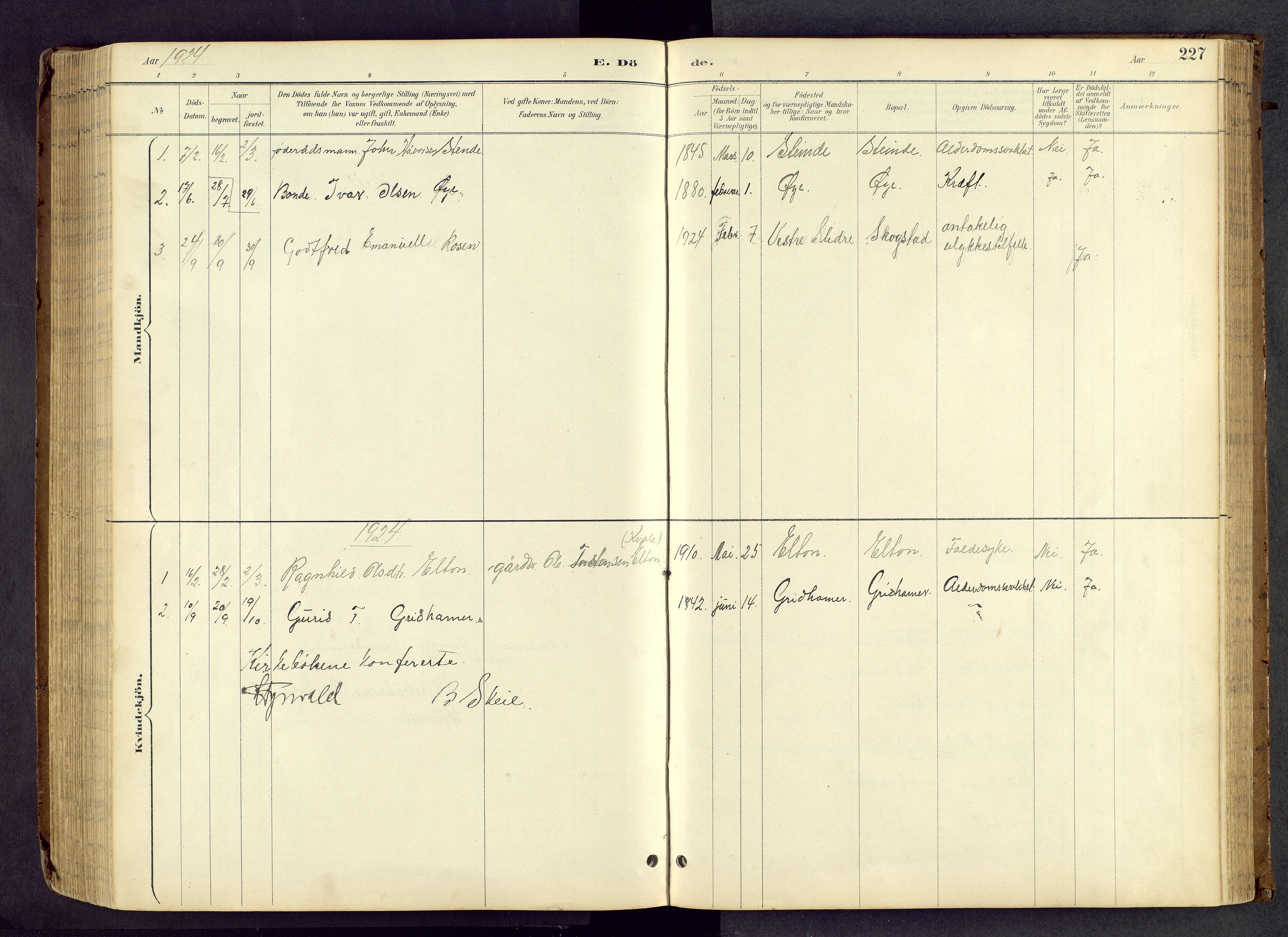 Vang prestekontor, Valdres, SAH/PREST-140/H/Hb/L0005: Parish register (copy) no. 5, 1889-1945, p. 227