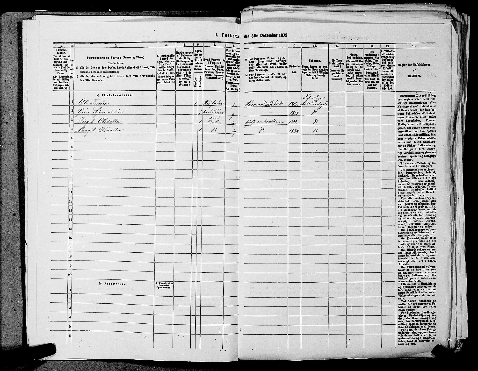 SAKO, 1875 census for 0619P Ål, 1875, p. 49