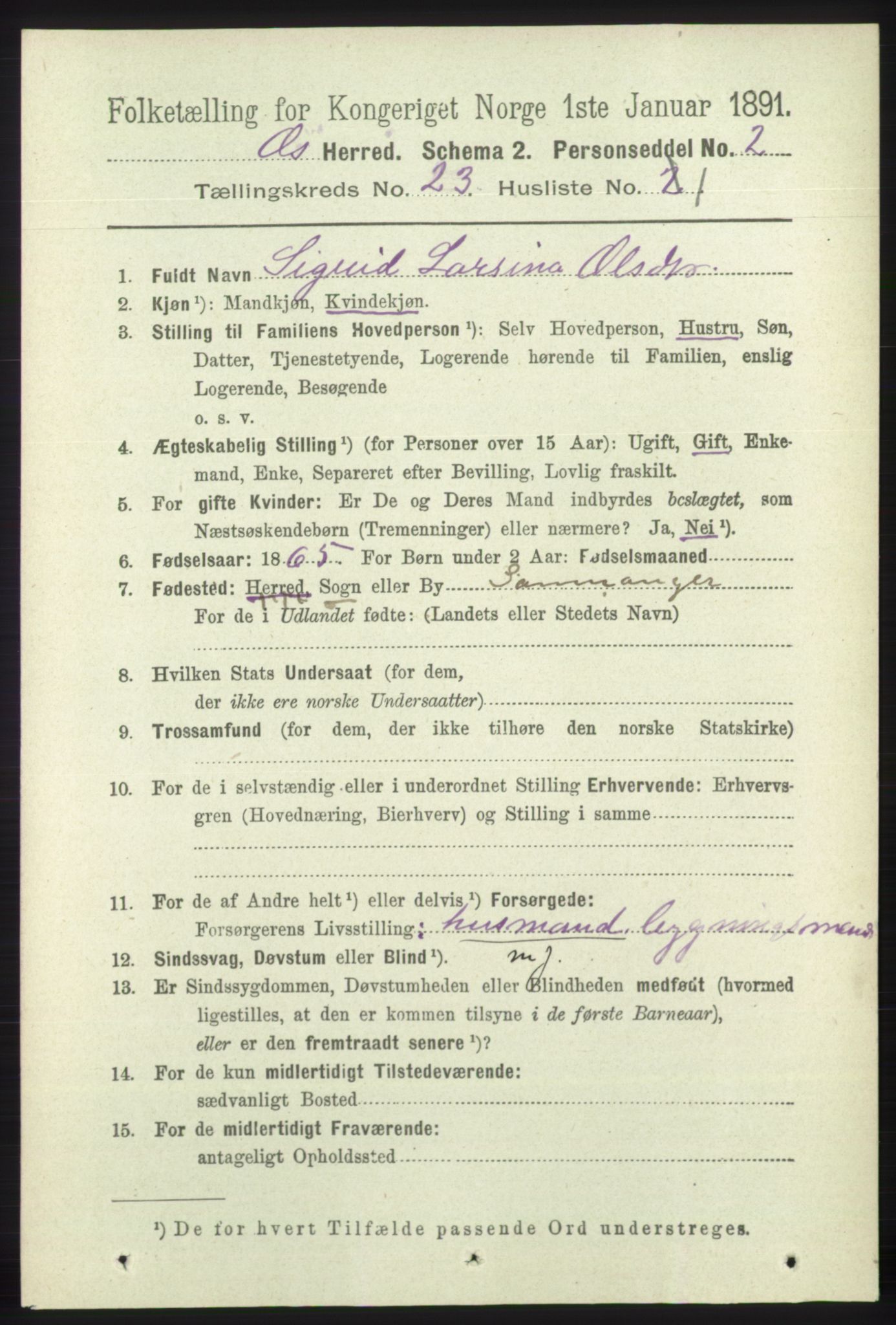 RA, 1891 census for 1243 Os, 1891, p. 5067