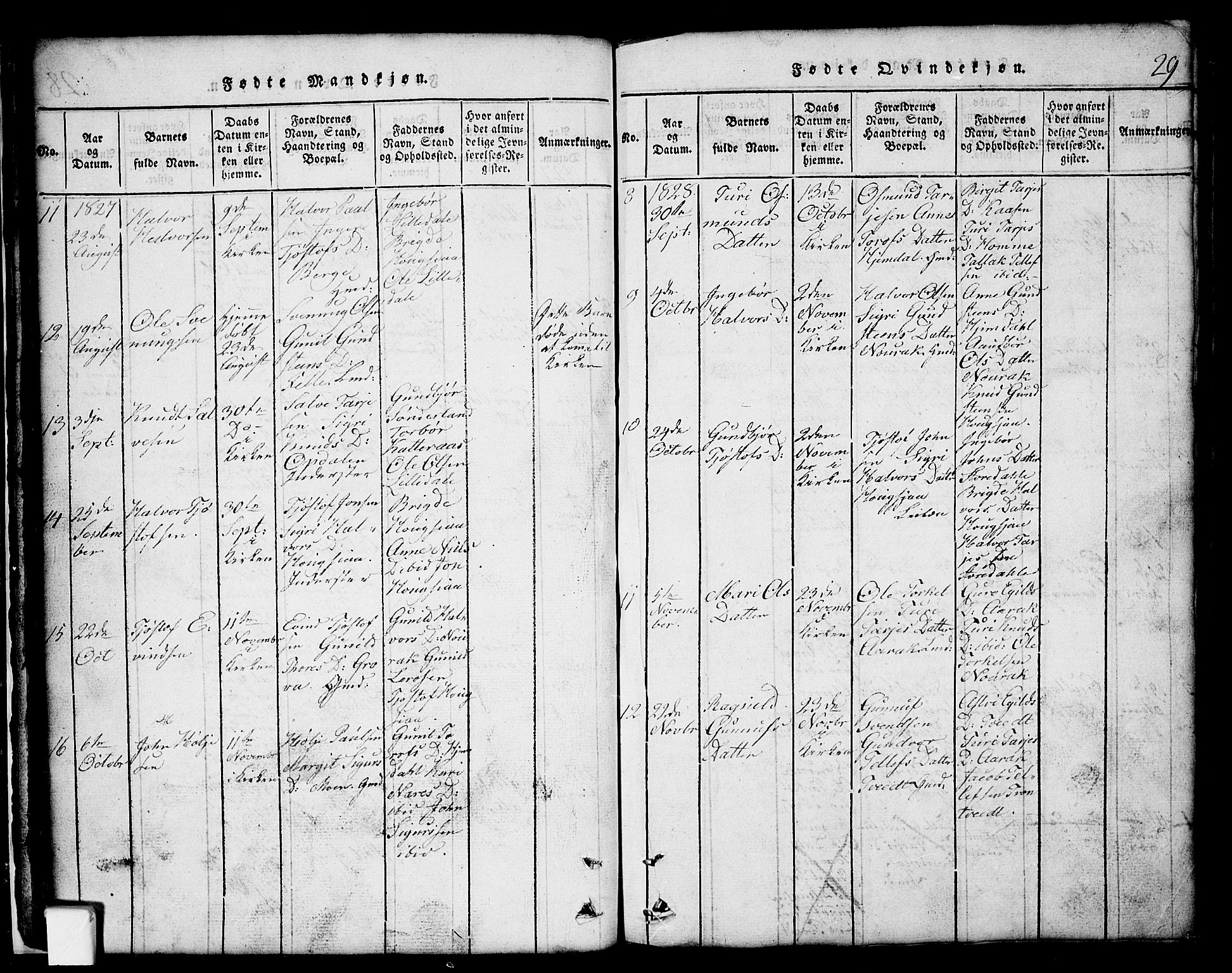 Nissedal kirkebøker, SAKO/A-288/G/Gb/L0001: Parish register (copy) no. II 1, 1814-1862, p. 29
