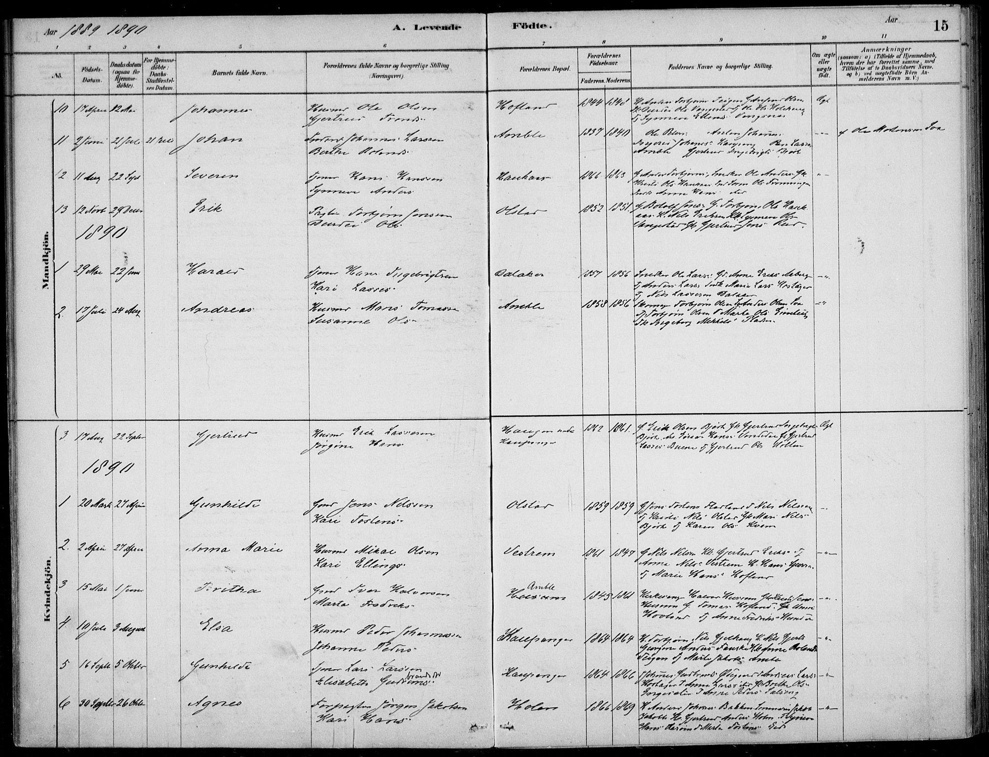 Sogndal sokneprestembete, AV/SAB-A-81301/H/Haa/Haad/L0001: Parish register (official) no. D  1, 1878-1907, p. 15