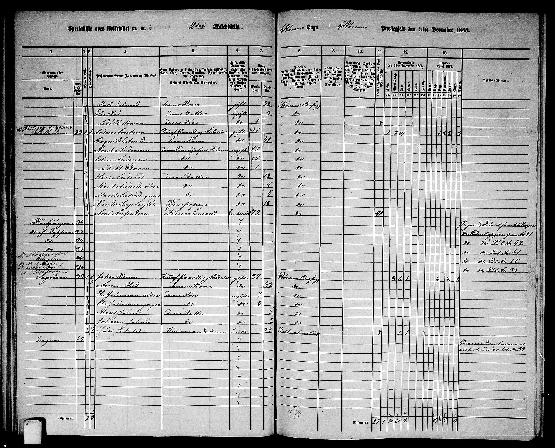 RA, 1865 census for Støren, 1865, p. 49