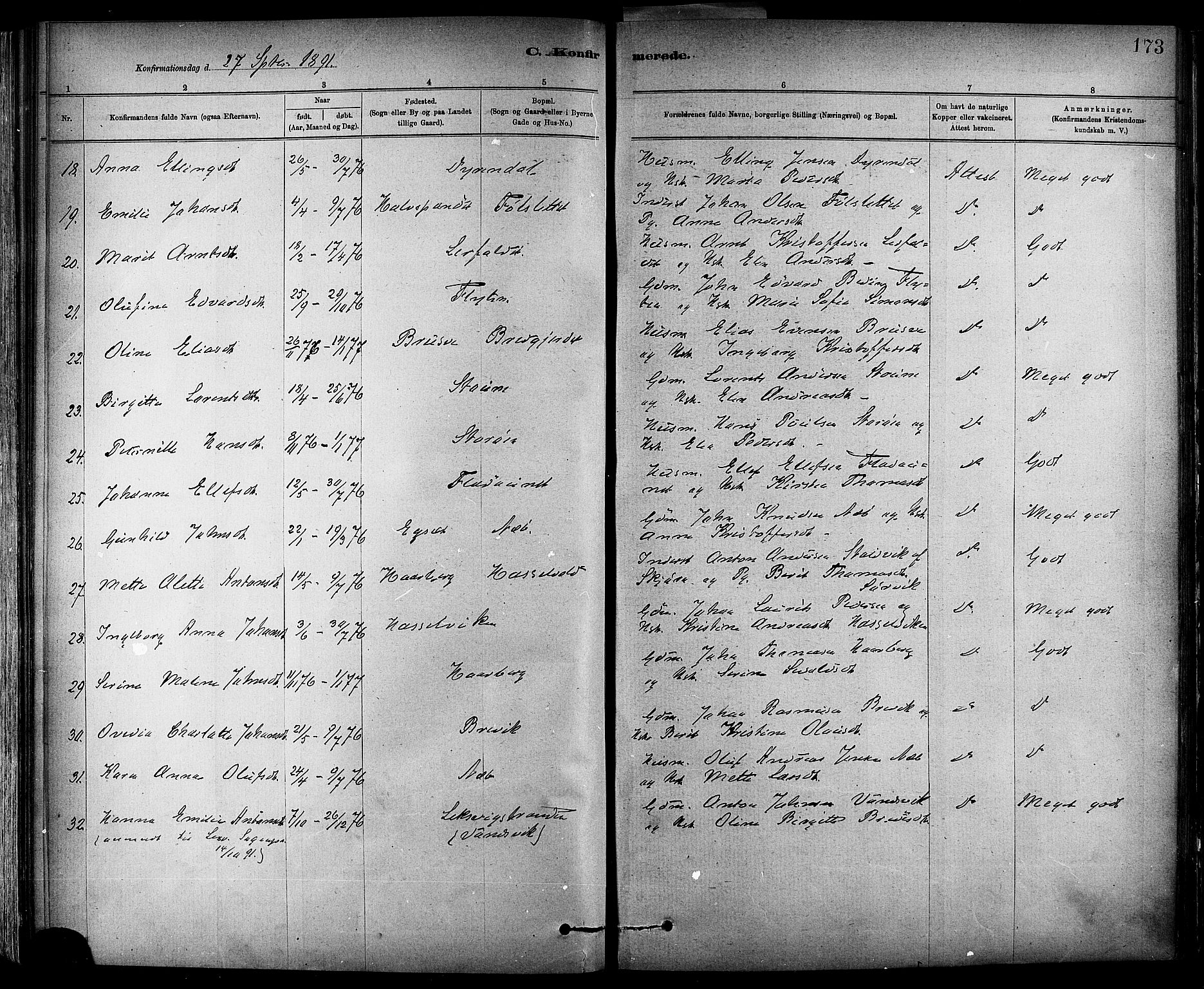 Ministerialprotokoller, klokkerbøker og fødselsregistre - Sør-Trøndelag, AV/SAT-A-1456/647/L0634: Parish register (official) no. 647A01, 1885-1896, p. 173