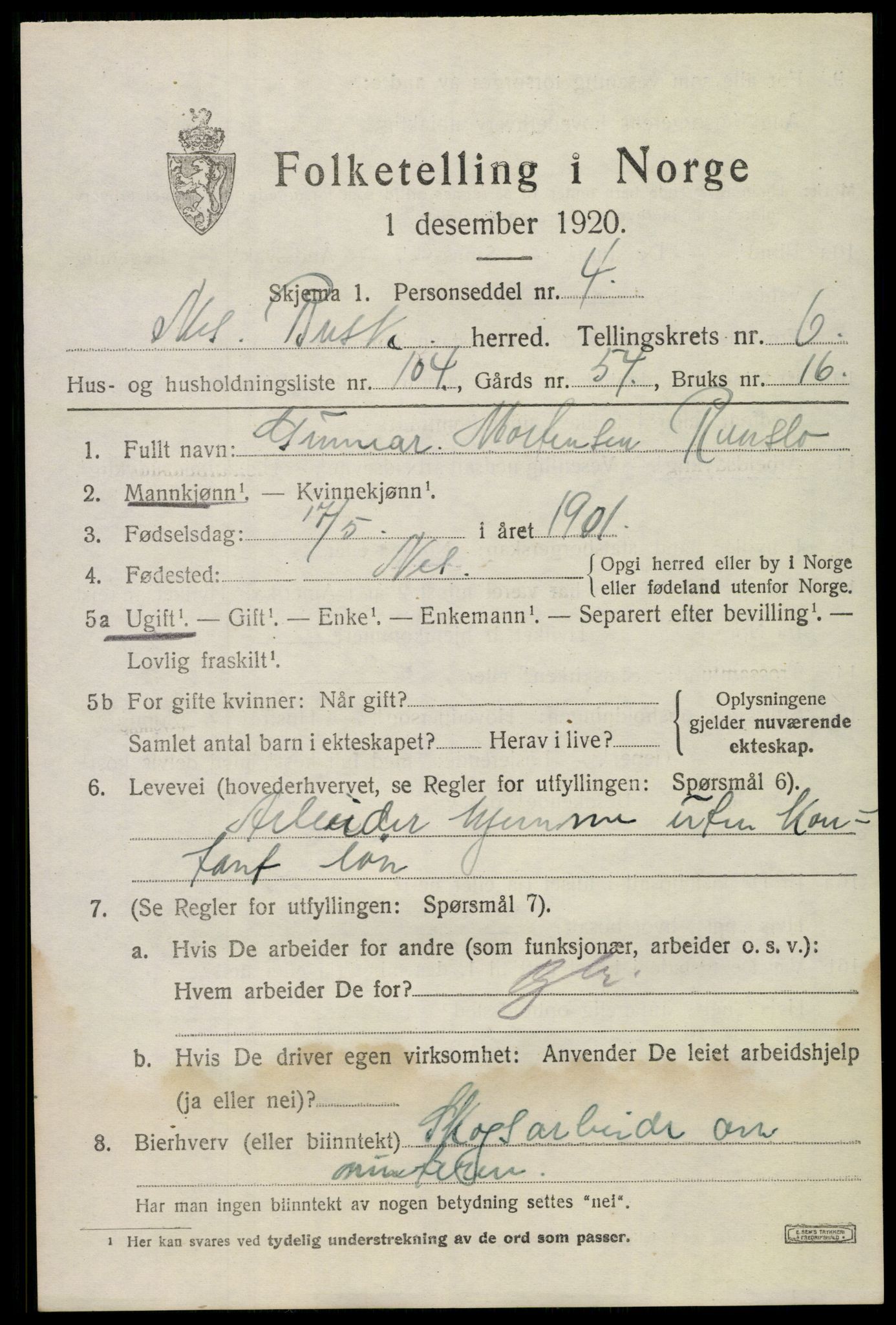 SAKO, 1920 census for Nes (Buskerud), 1920, p. 4320