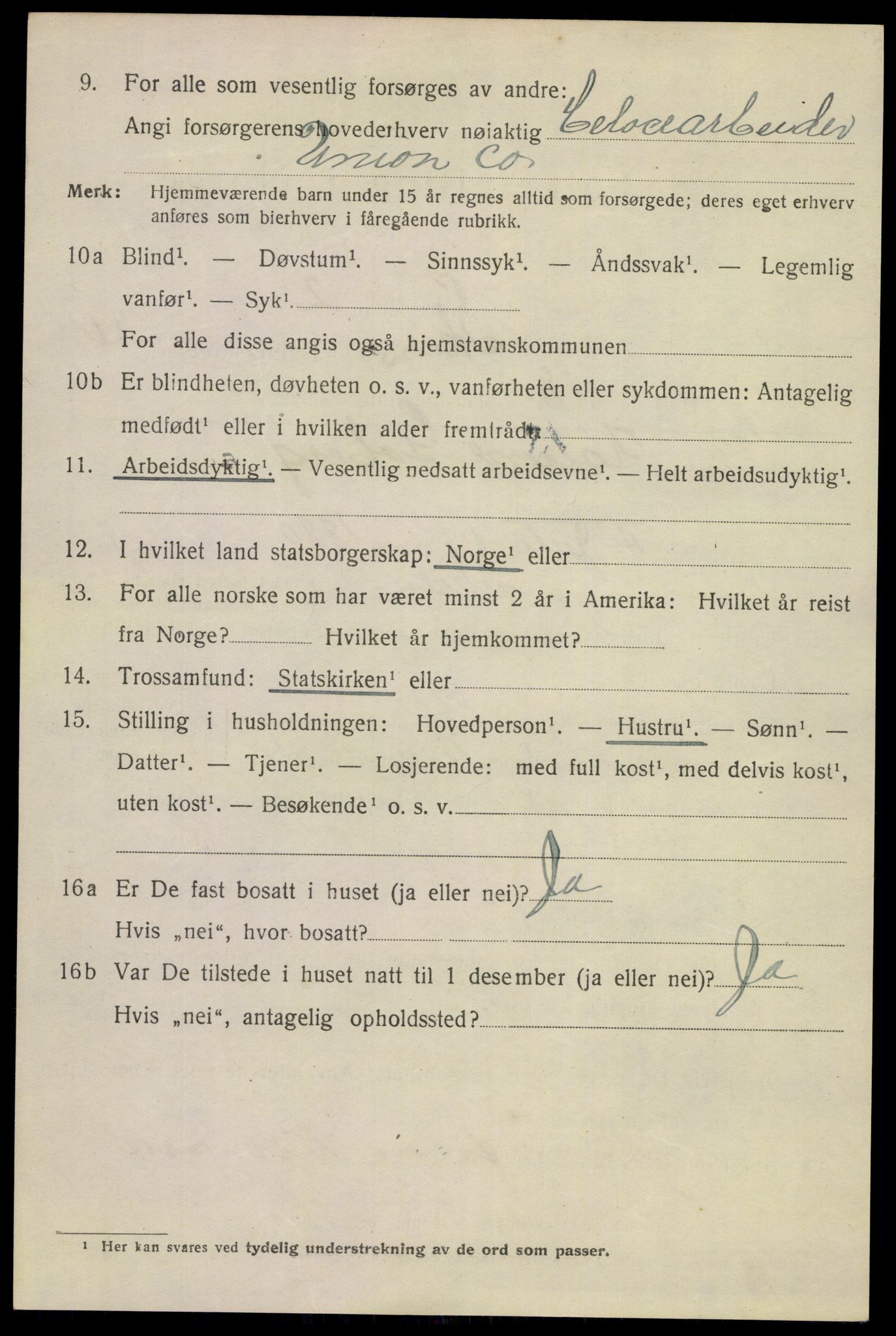 SAKO, 1920 census for Skien, 1920, p. 16929