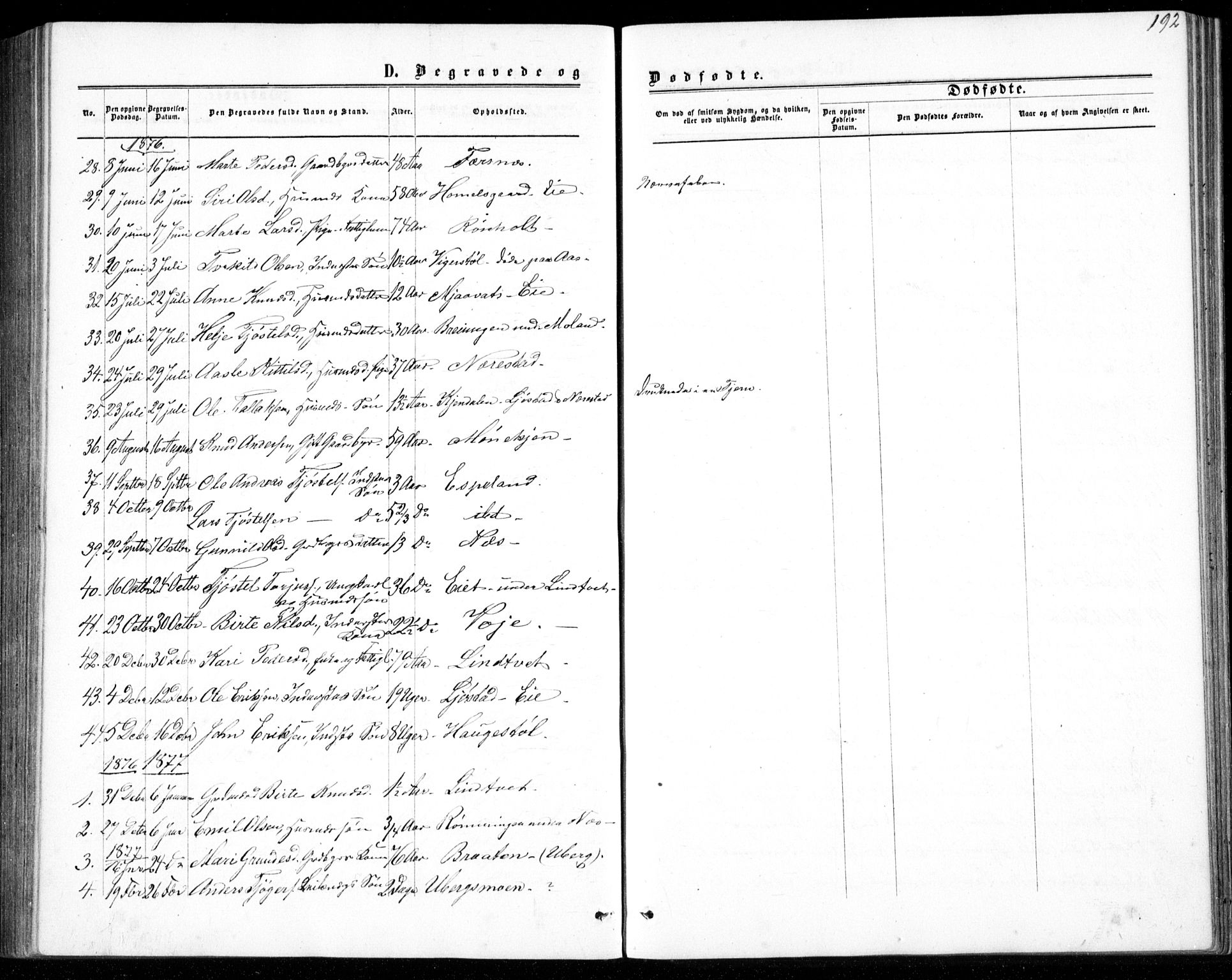 Gjerstad sokneprestkontor, AV/SAK-1111-0014/F/Fb/Fbb/L0003: Parish register (copy) no. B 3, 1862-1889, p. 192