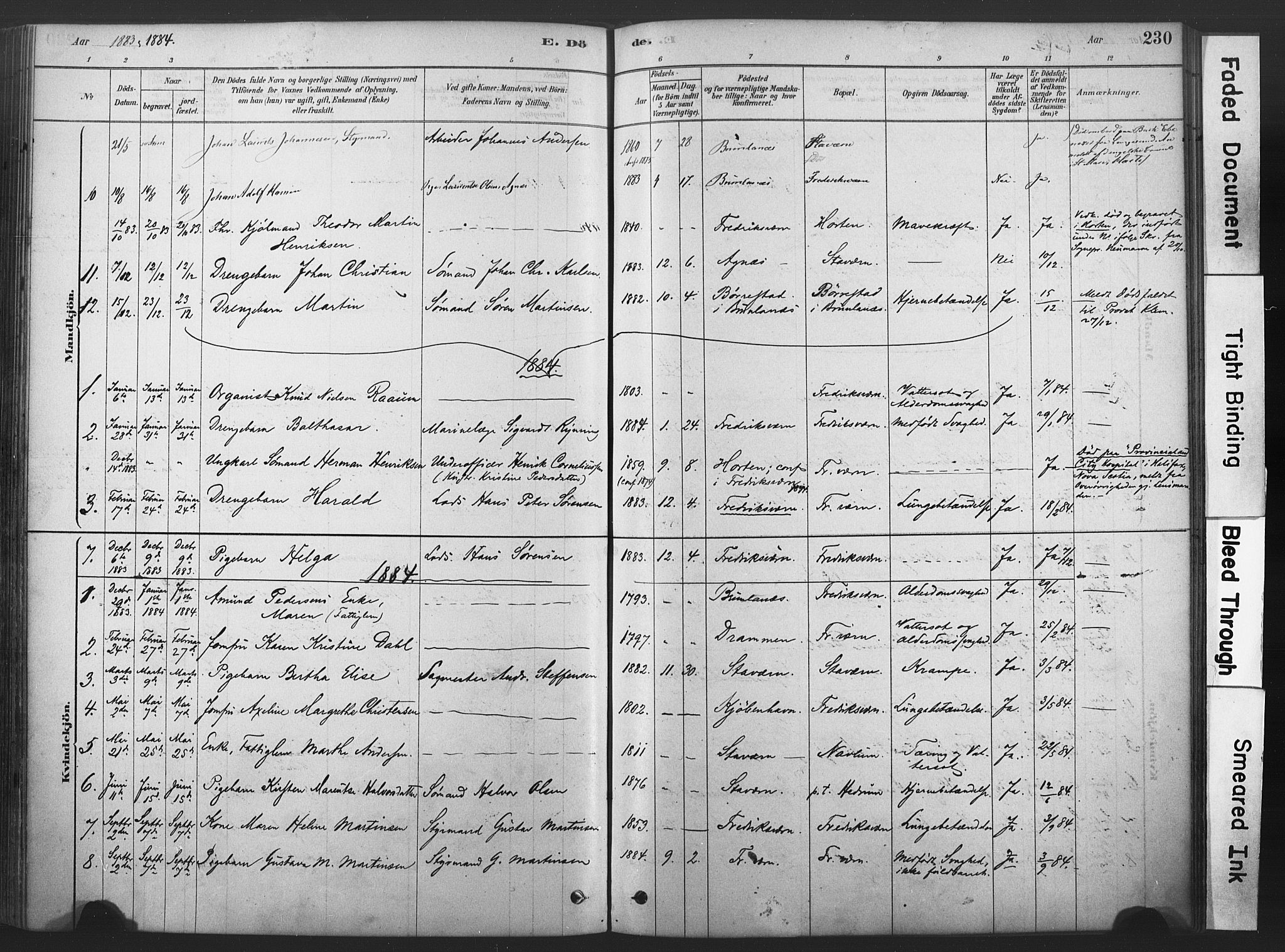 Stavern kirkebøker, SAKO/A-318/F/Fa/L0008: Parish register (official) no. 8, 1878-1905, p. 230