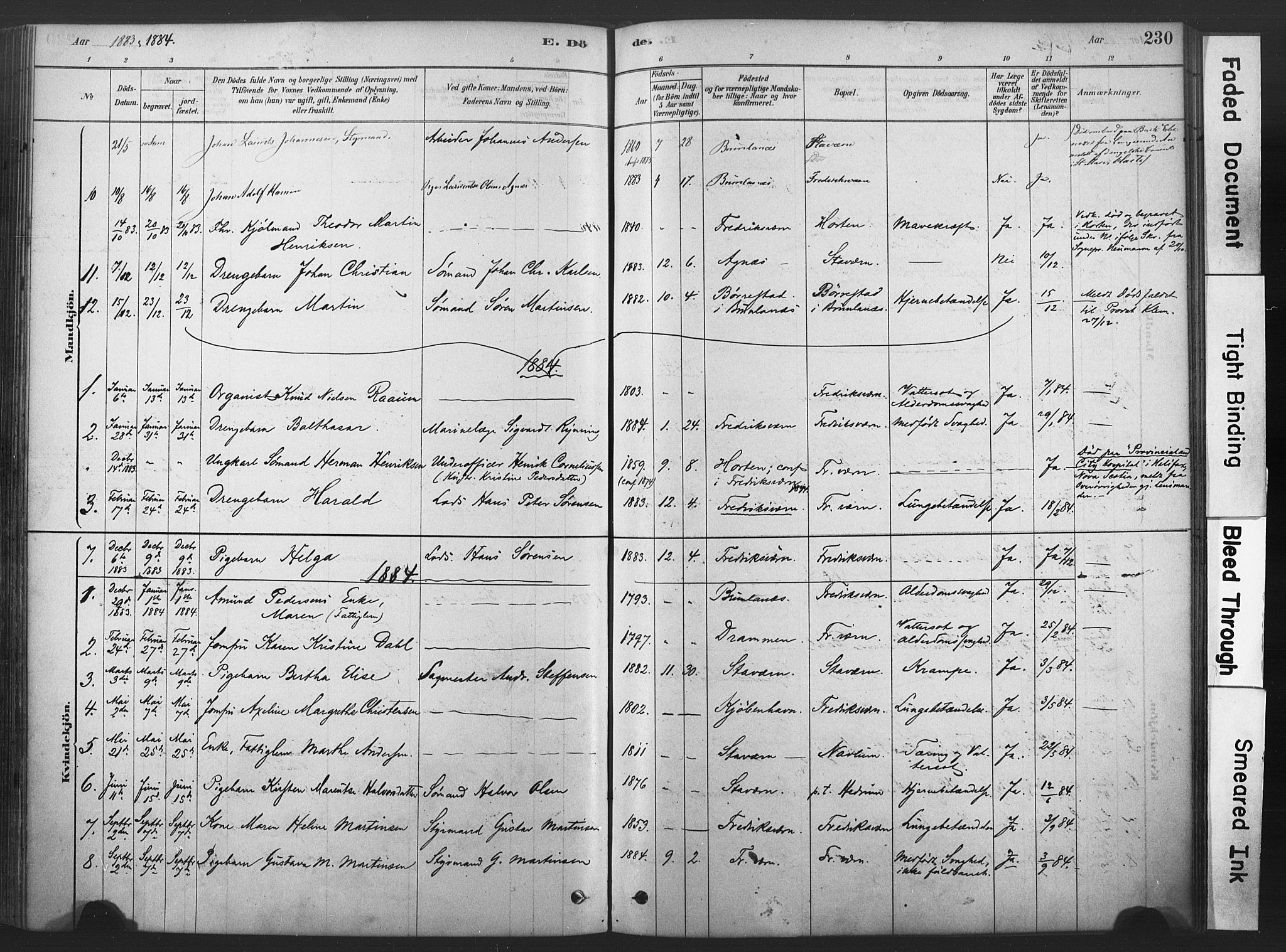 Stavern kirkebøker, AV/SAKO-A-318/F/Fa/L0008: Parish register (official) no. 8, 1878-1905, p. 230