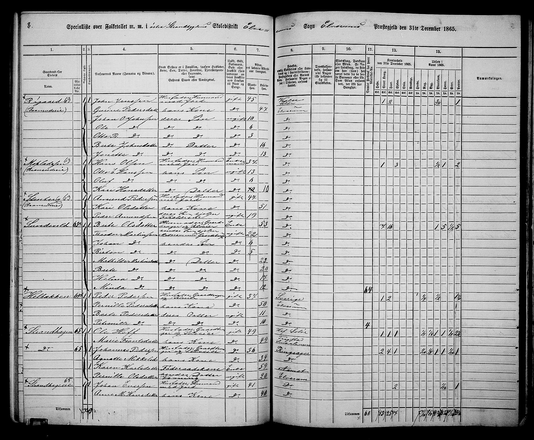 RA, 1865 census for Elverum, 1865, p. 144