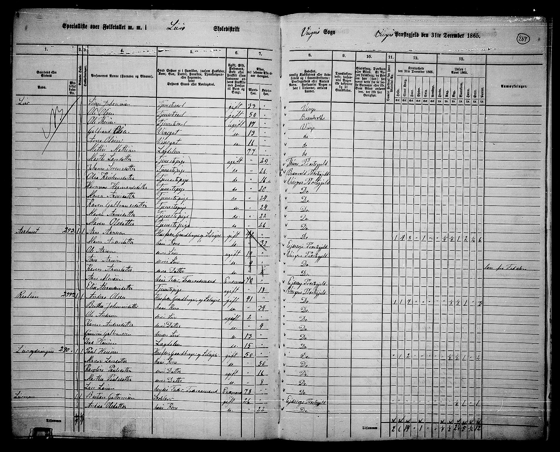 RA, 1865 census for Vinger/Vinger og Austmarka, 1865, p. 243