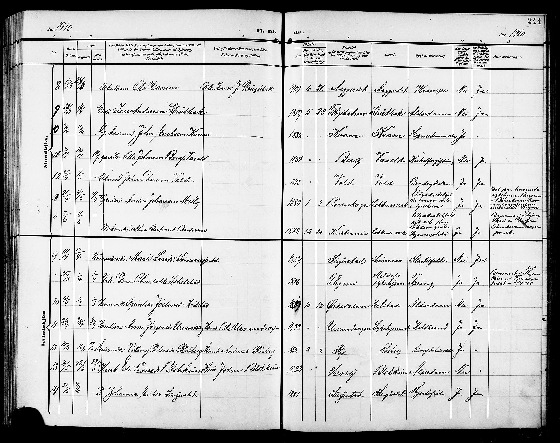 Ministerialprotokoller, klokkerbøker og fødselsregistre - Sør-Trøndelag, SAT/A-1456/672/L0864: Parish register (copy) no. 672C03, 1902-1914, p. 244