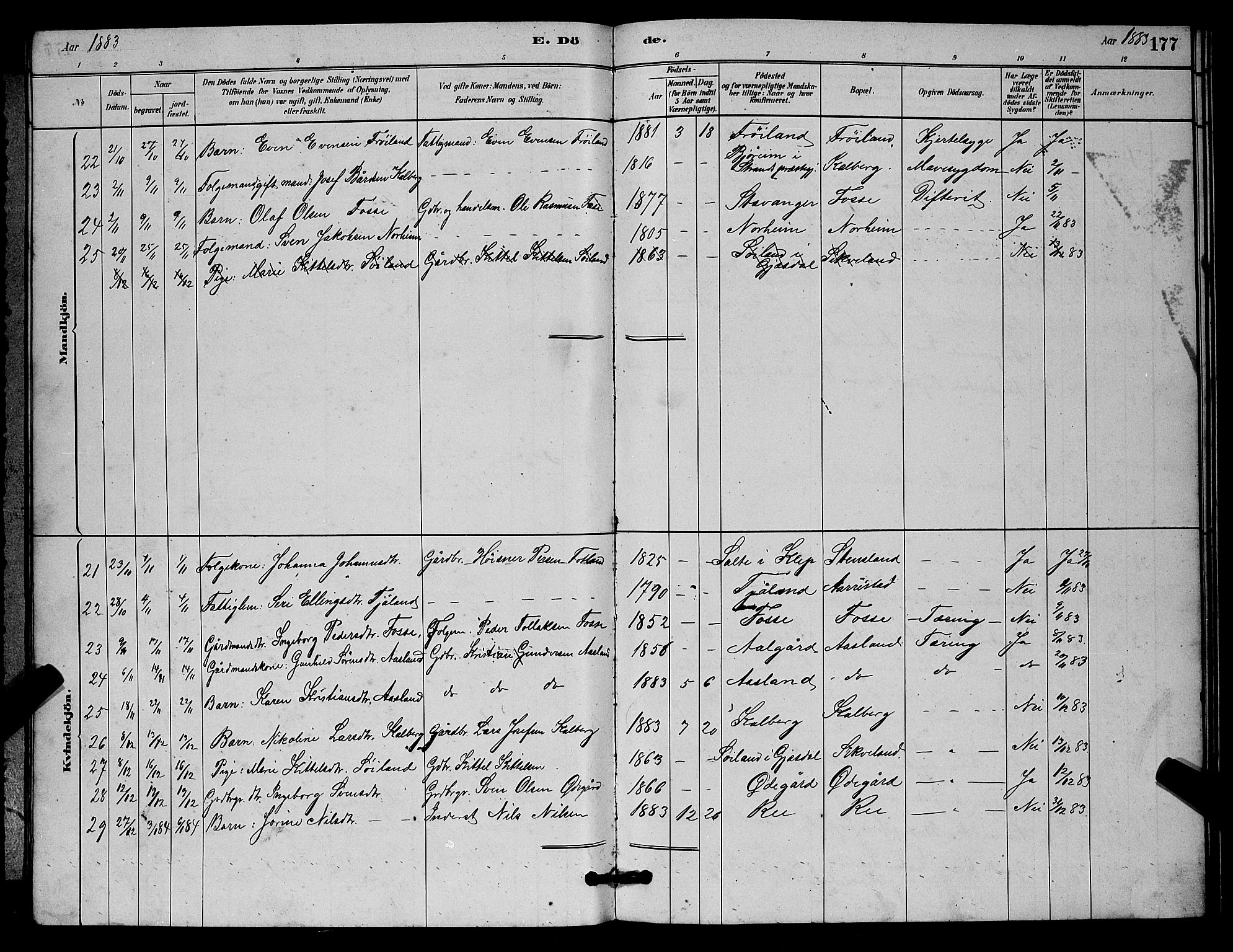 Lye sokneprestkontor, AV/SAST-A-101794/001/30BB/L0006: Parish register (copy) no. B 6, 1879-1888, p. 177