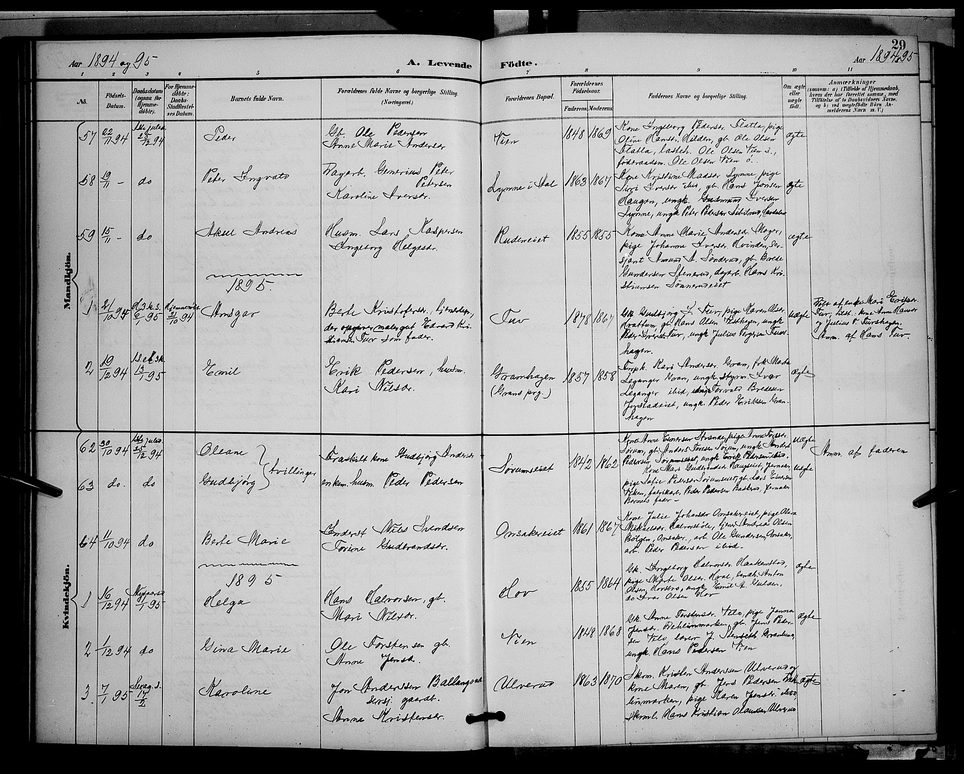 Gran prestekontor, SAH/PREST-112/H/Ha/Hab/L0005: Parish register (copy) no. 5, 1892-1900, p. 29