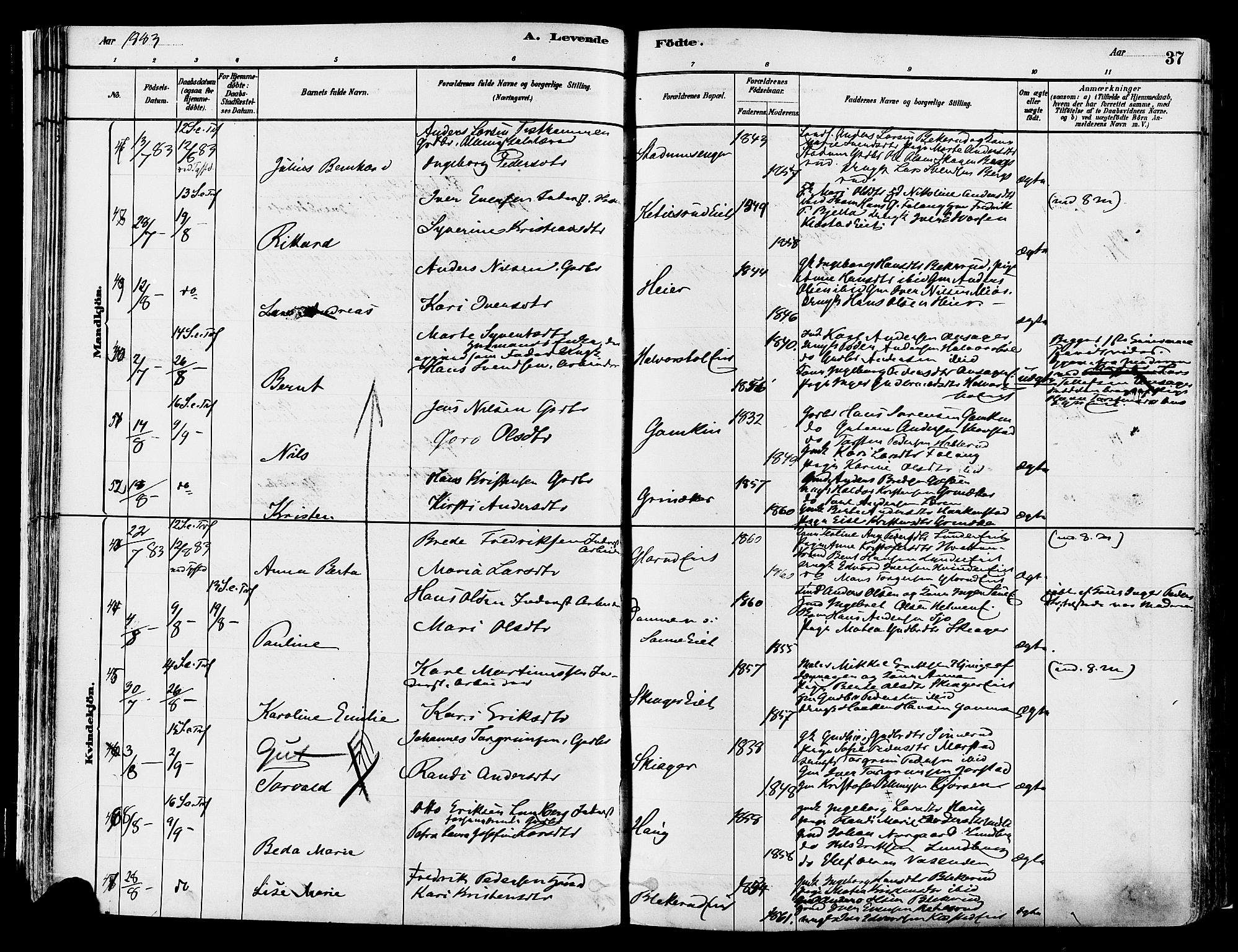 Gran prestekontor, SAH/PREST-112/H/Ha/Haa/L0014: Parish register (official) no. 14, 1880-1889, p. 37