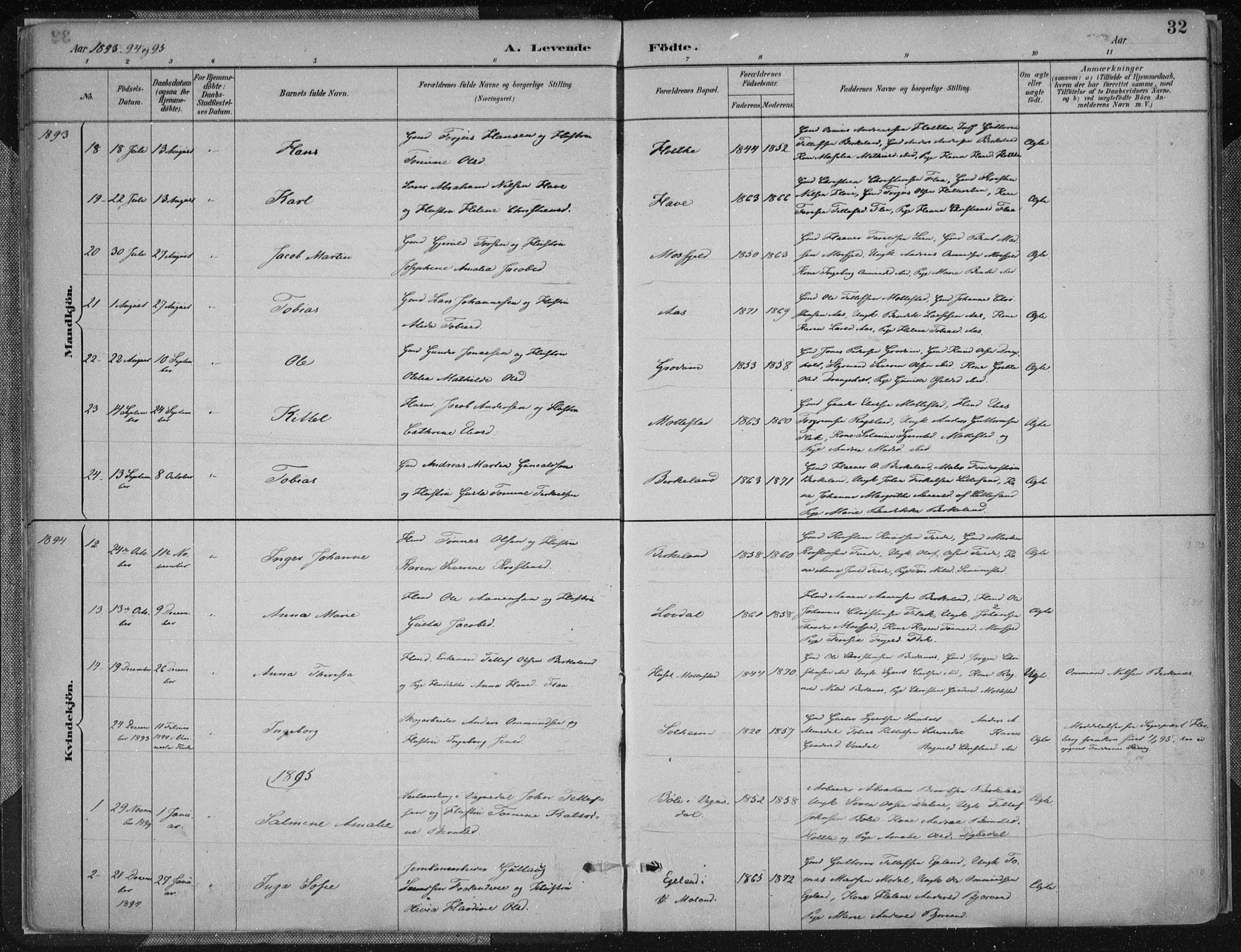 Birkenes sokneprestkontor, SAK/1111-0004/F/Fa/L0005: Parish register (official) no. A 5, 1887-1907, p. 32