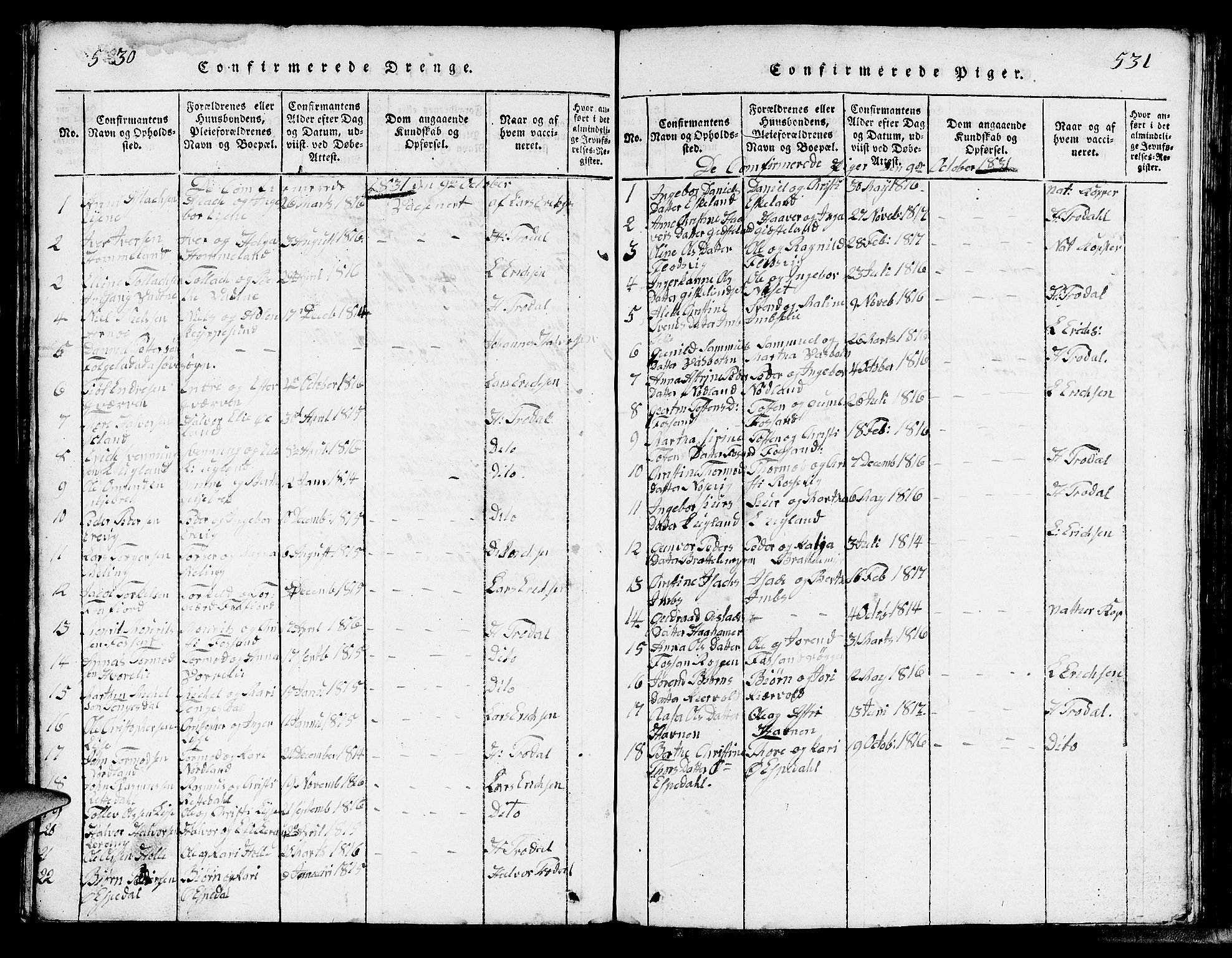 Strand sokneprestkontor, SAST/A-101828/H/Ha/Hab/L0002: Parish register (copy) no. B 2, 1816-1854, p. 530-531