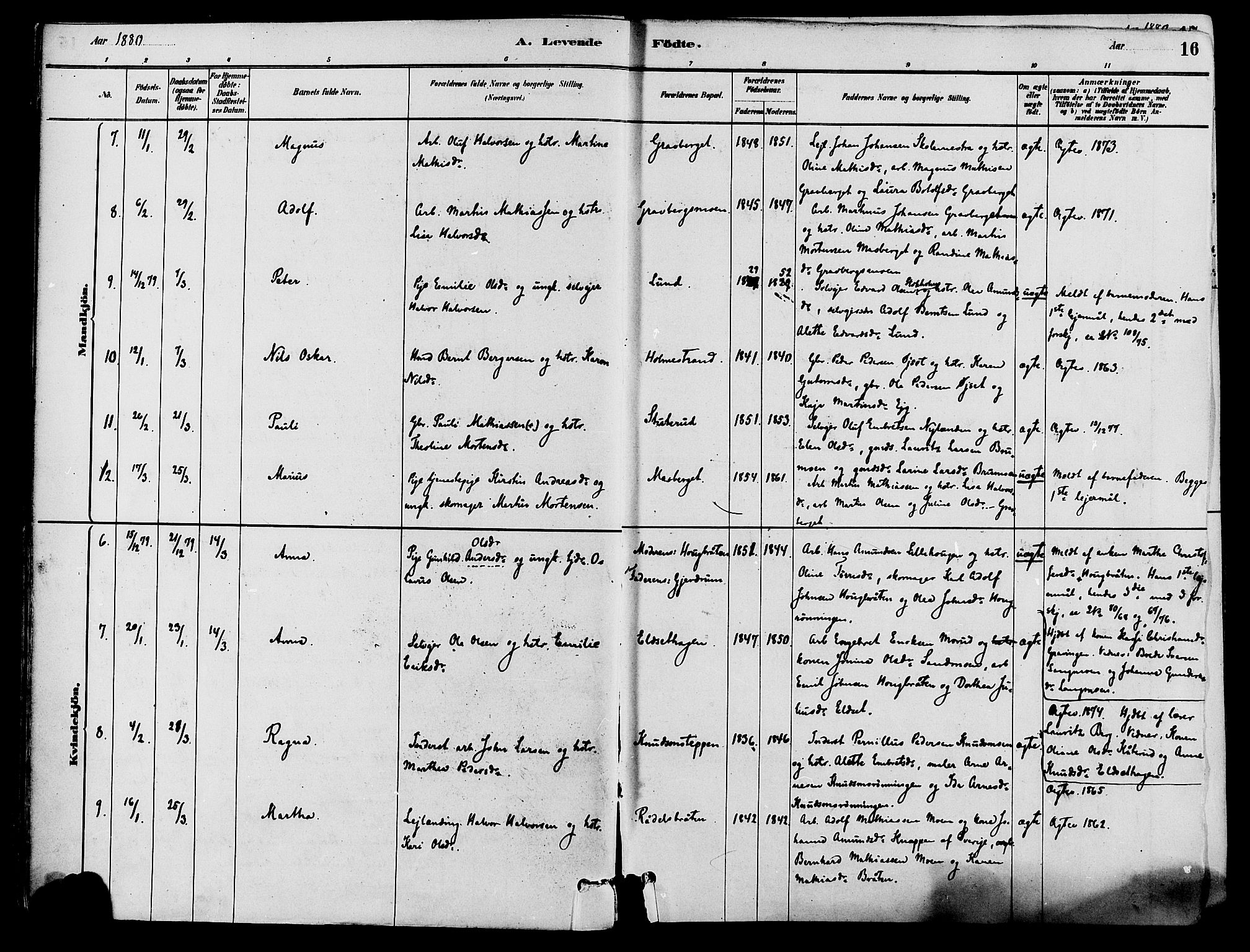 Våler prestekontor, Hedmark, AV/SAH-PREST-040/H/Ha/Haa/L0002: Parish register (official) no. 3, 1879-1911, p. 16