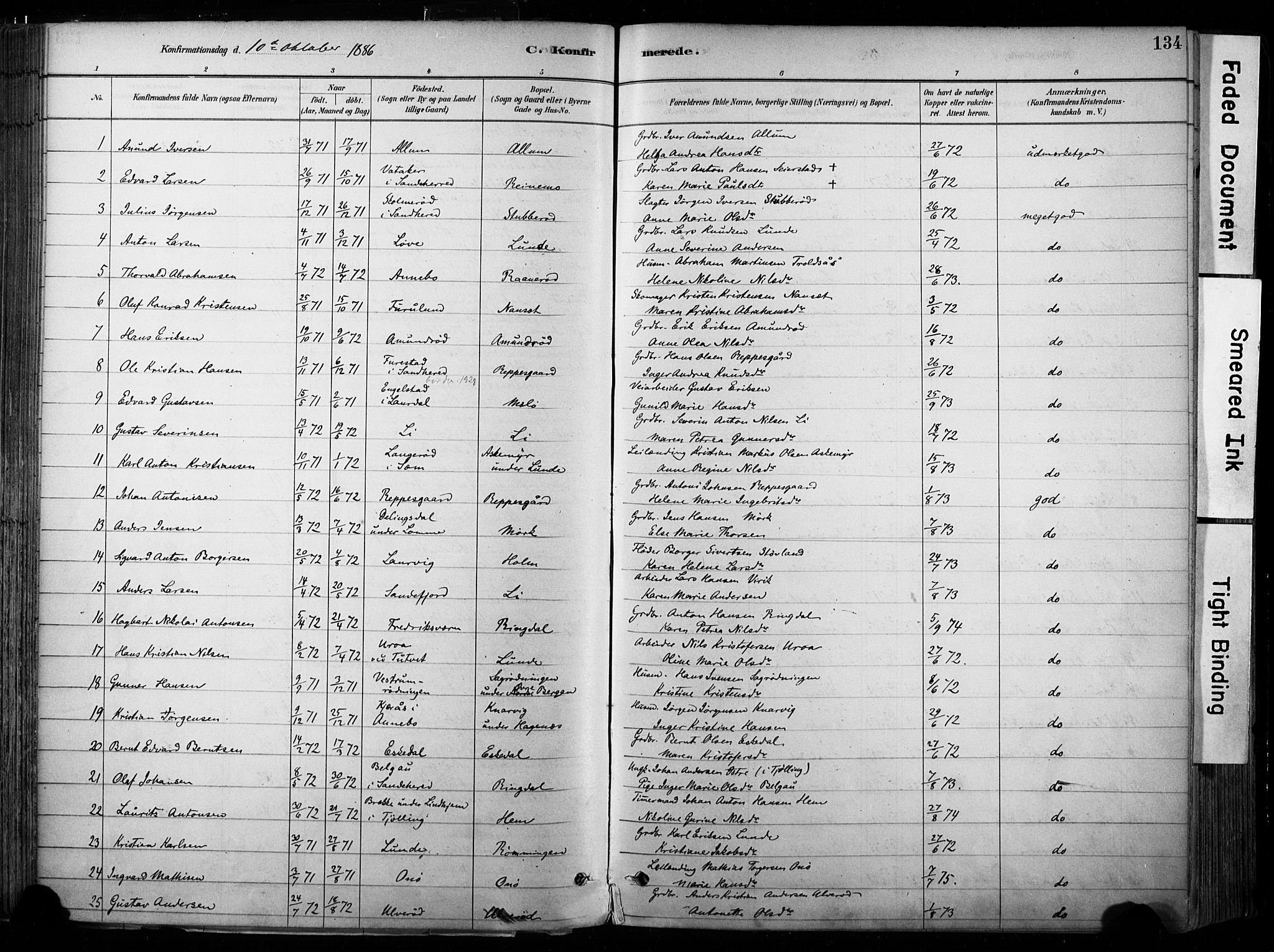 Hedrum kirkebøker, SAKO/A-344/F/Fa/L0009: Parish register (official) no. I 9, 1881-1903, p. 134