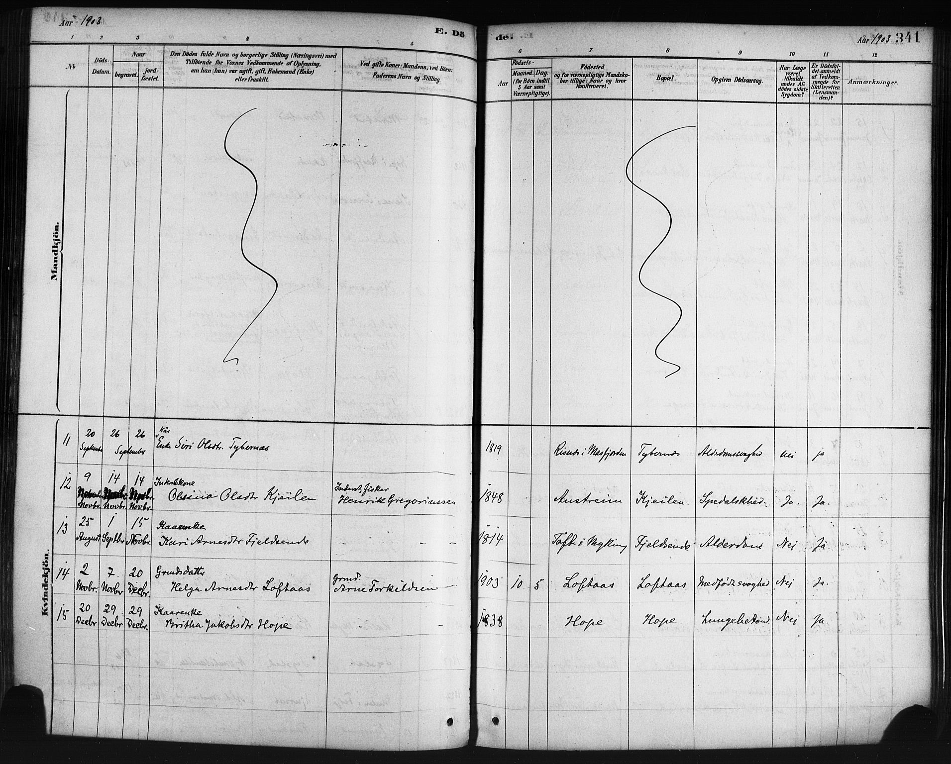 Lindås Sokneprestembete, AV/SAB-A-76701/H/Haa/Haaa/L0019: Parish register (official) no. A 19, 1878-1912, p. 341