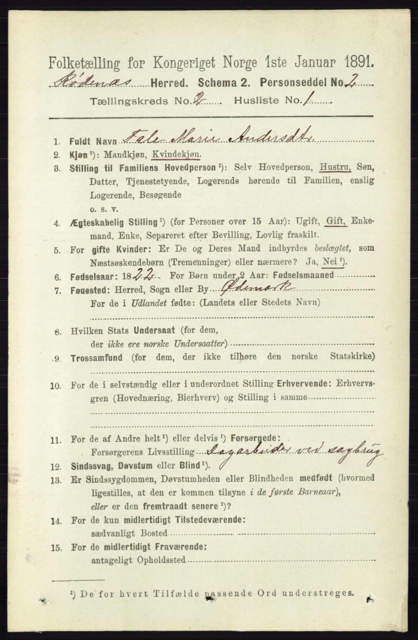 RA, 1891 census for 0120 Rødenes, 1891, p. 728