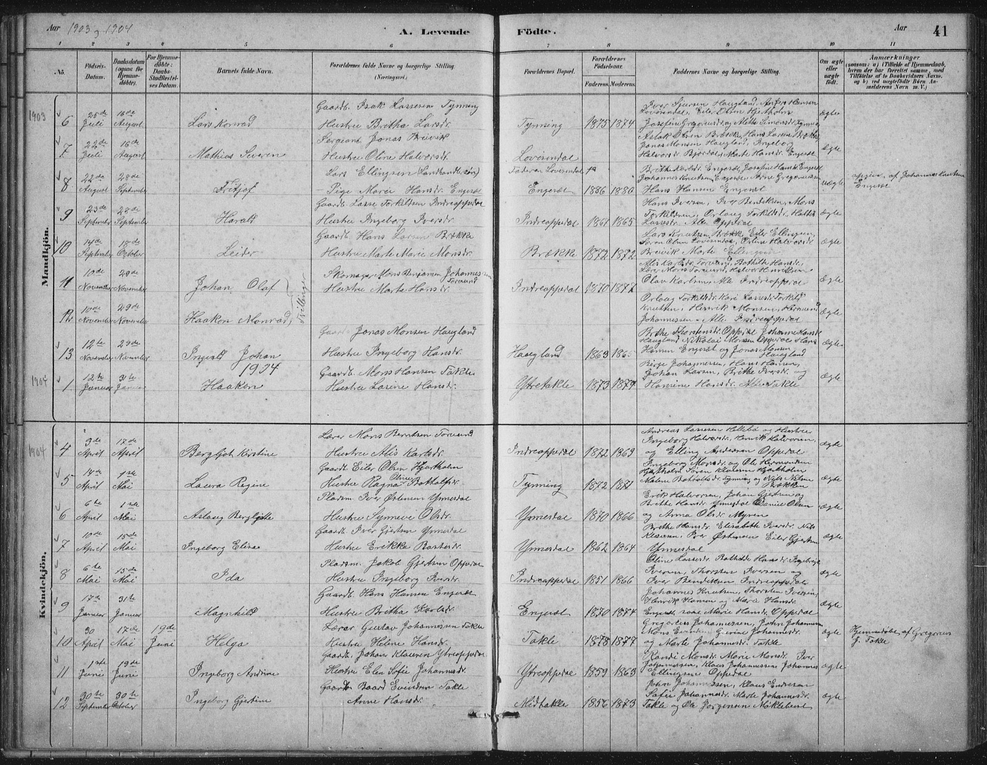 Gulen sokneprestembete, AV/SAB-A-80201/H/Hab/Habc/L0002: Parish register (copy) no. C 2, 1880-1938, p. 41