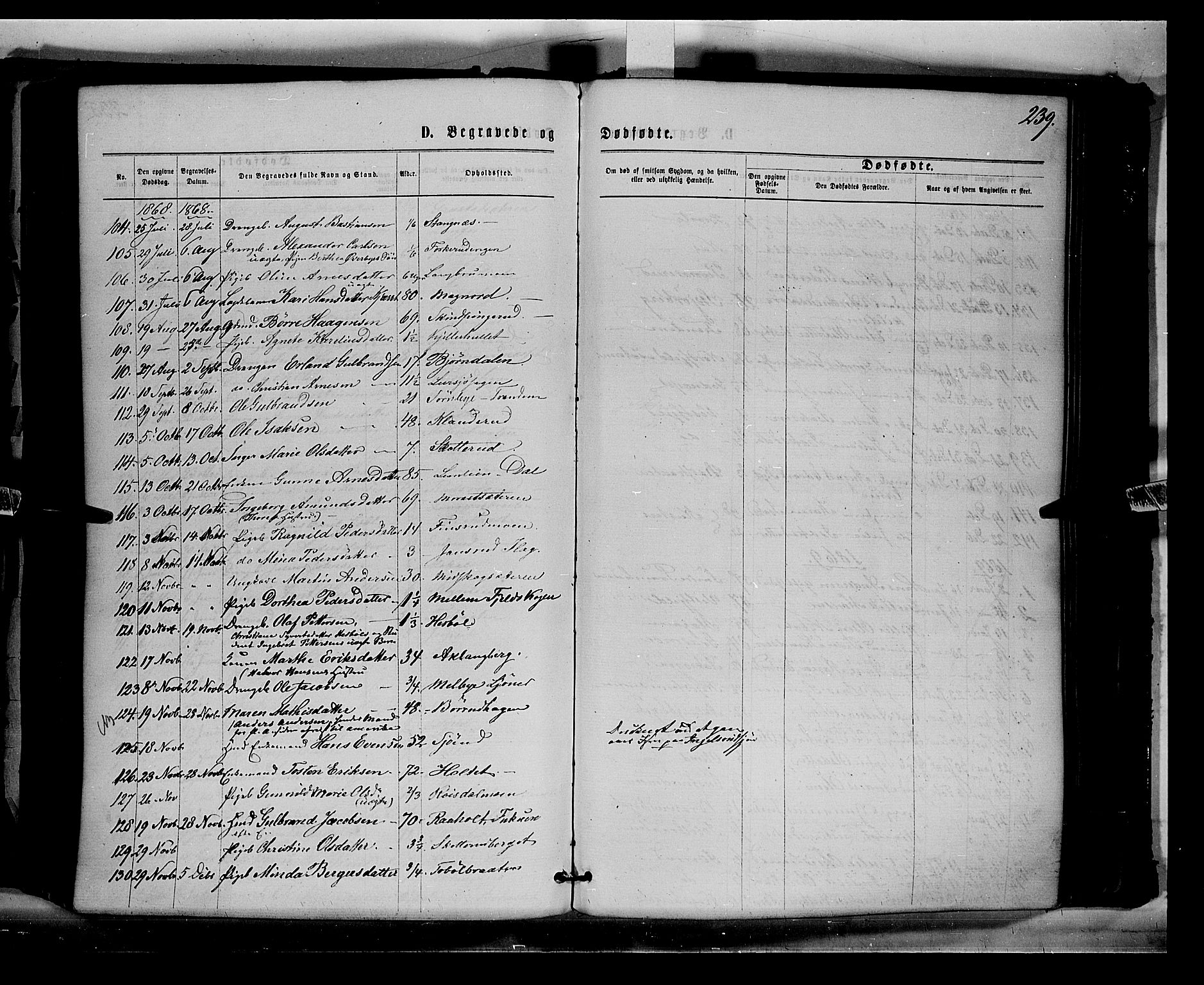 Eidskog prestekontor, AV/SAH-PREST-026/H/Ha/Haa/L0002: Parish register (official) no. 2, 1867-1878, p. 239