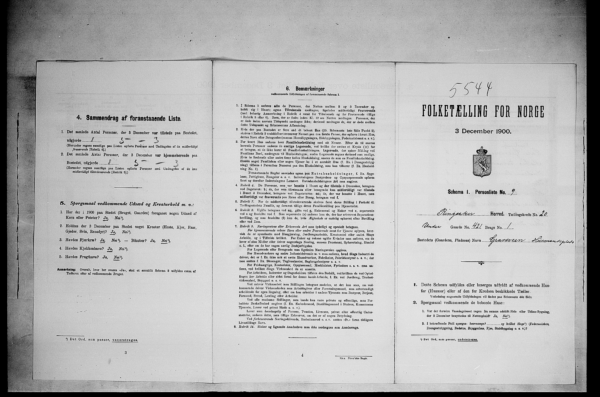 SAH, 1900 census for Ringsaker, 1900, p. 3569