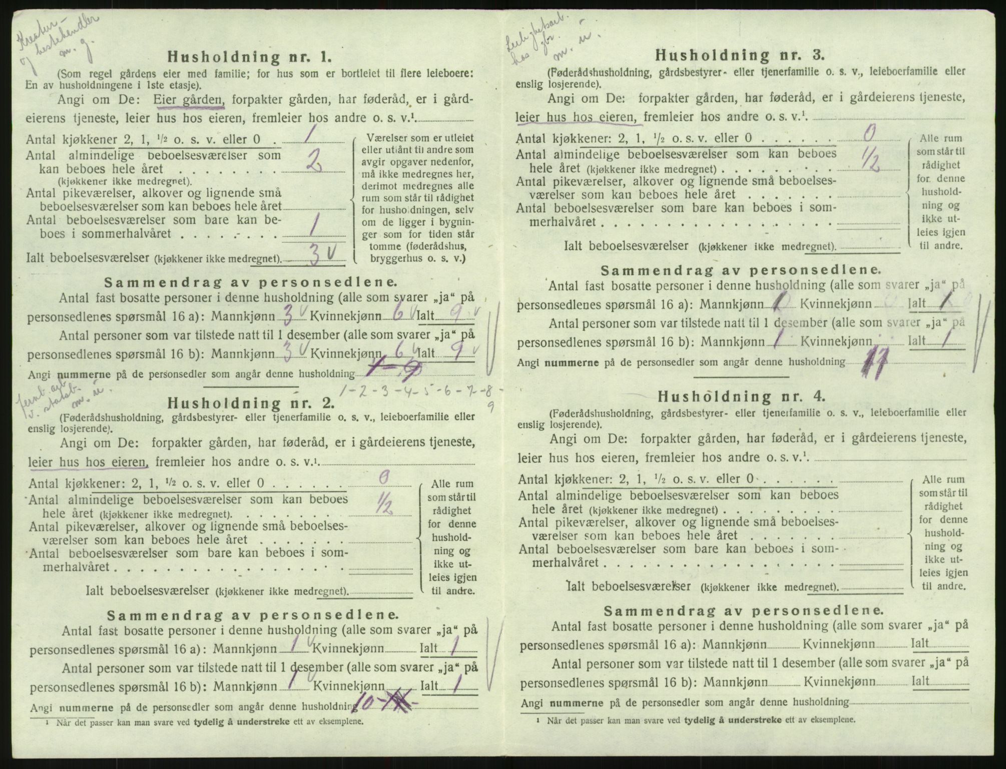 SAK, 1920 census for Hornnes, 1920, p. 124