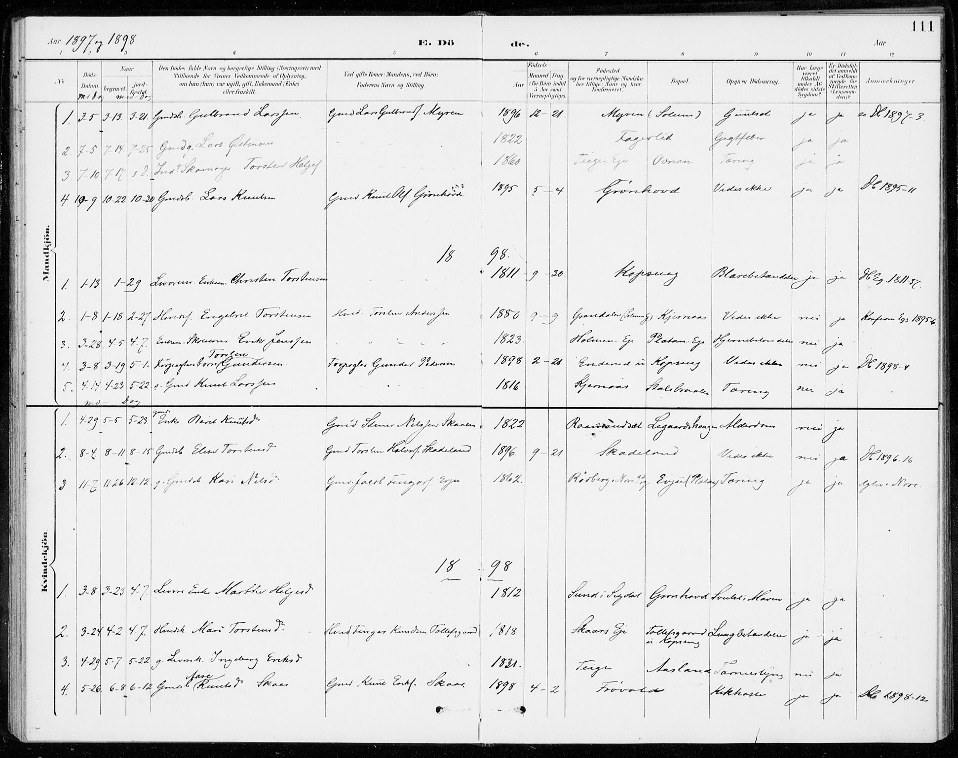 Sigdal kirkebøker, SAKO/A-245/F/Fc/L0002: Parish register (official) no. III 2, 1894-1911, p. 111